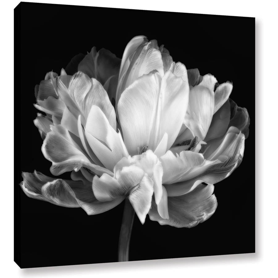 ArtWall Cora Niele "Tulipa Double Black and White II" Gallery-Wrapped Canvas