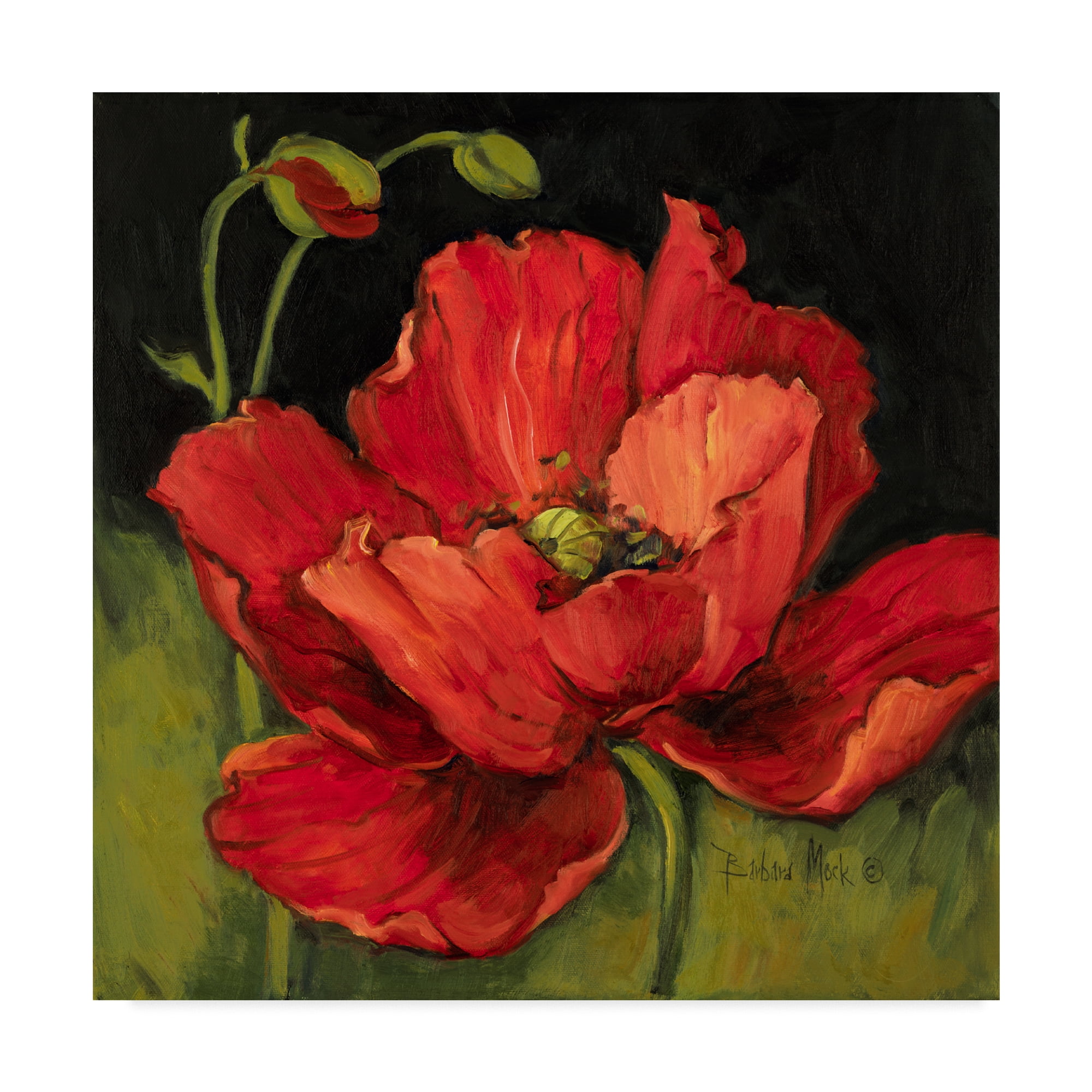 Barbara Mock ' Poppy Blossom' Canvas Art