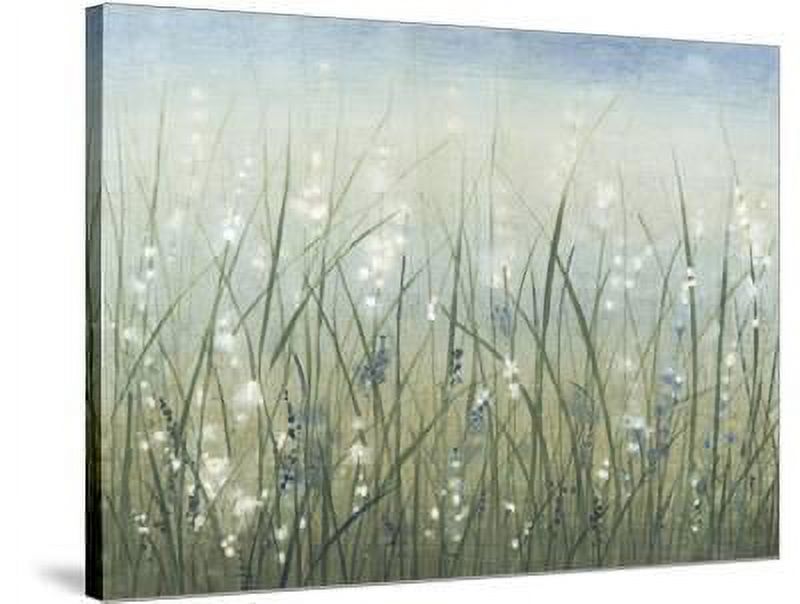 Bliss I, Botanical Stretched Canvas Wall Art by Tim O'toole Sold by Art.Com