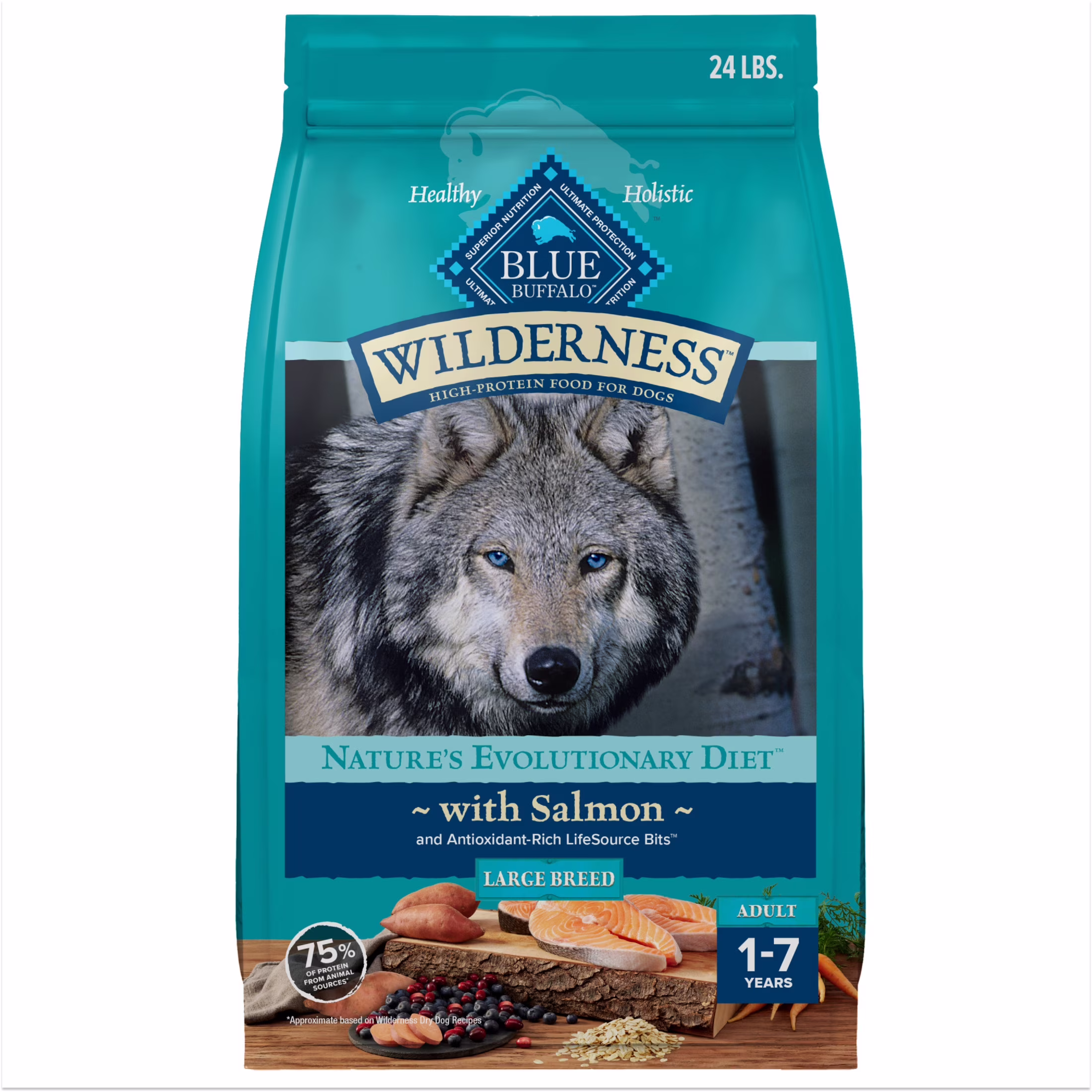 Blue Buffalo Wilderness High Protein Natural Adult Large Breed Dry Dog Food Plus Wholesome Grains, Salmon 24-lb