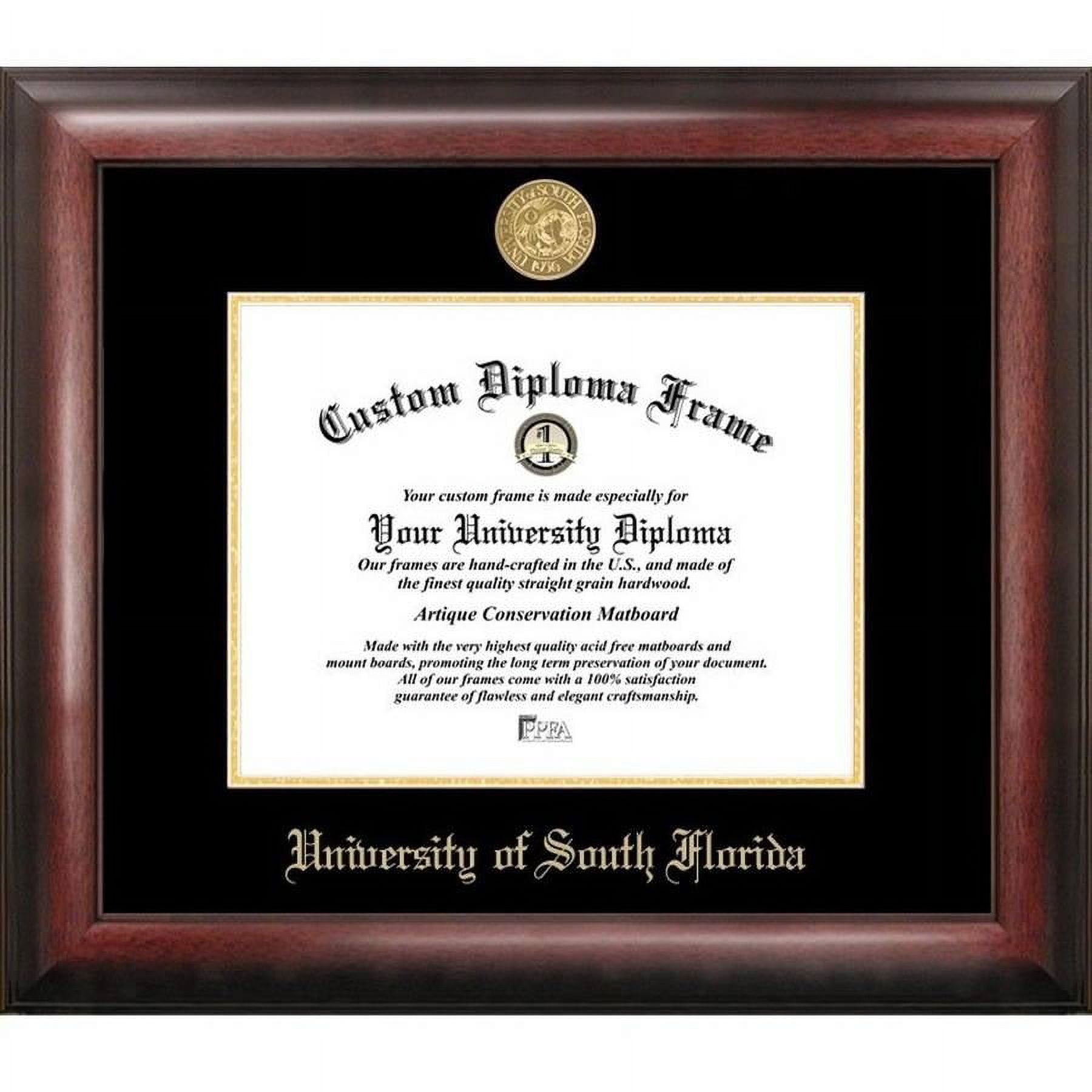 Campus Images FL989GED University of South Florida, 11" x 8.5"