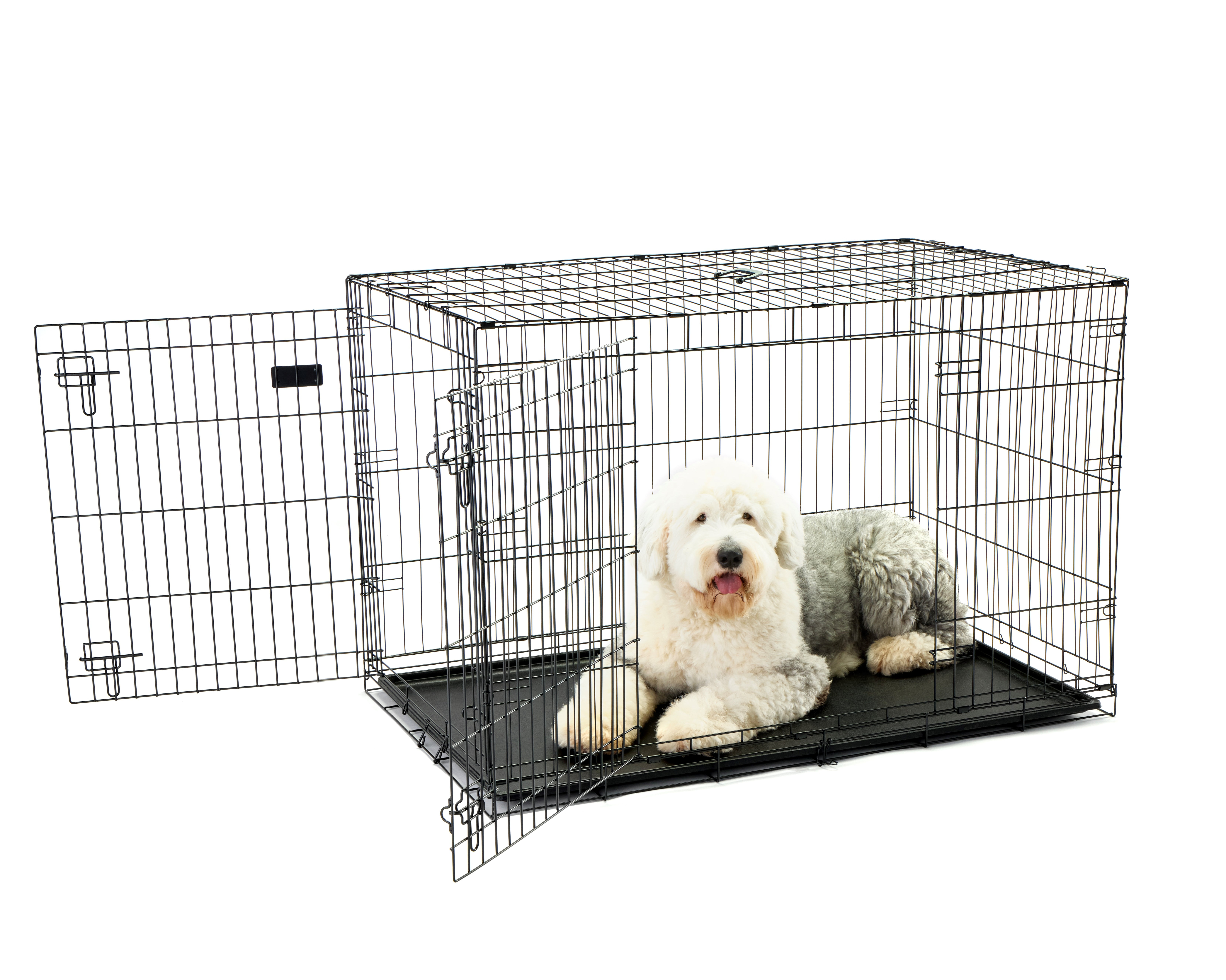 Carlson Secure and Compact Double Door Metal Dog Crate, For Extra Large Breeds Up To 120 Pounds, Includes Divider Panel and Removable Pan, Black