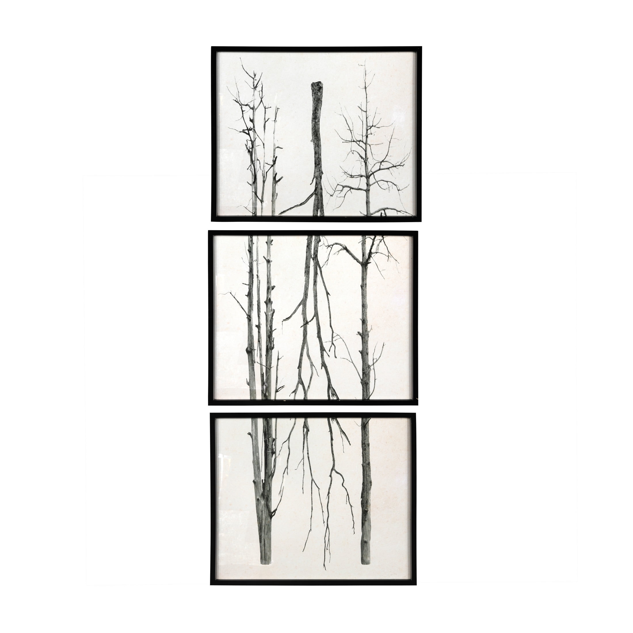 Creative Co-Op Wood Framed Branch Artwork, Black (Set of 3)