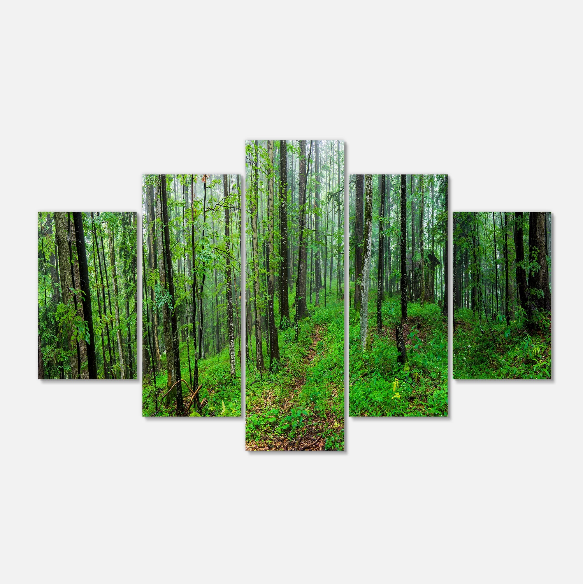 Designart 'Green Wild Forest with Dense Trees ' Forest Canvas Art Print