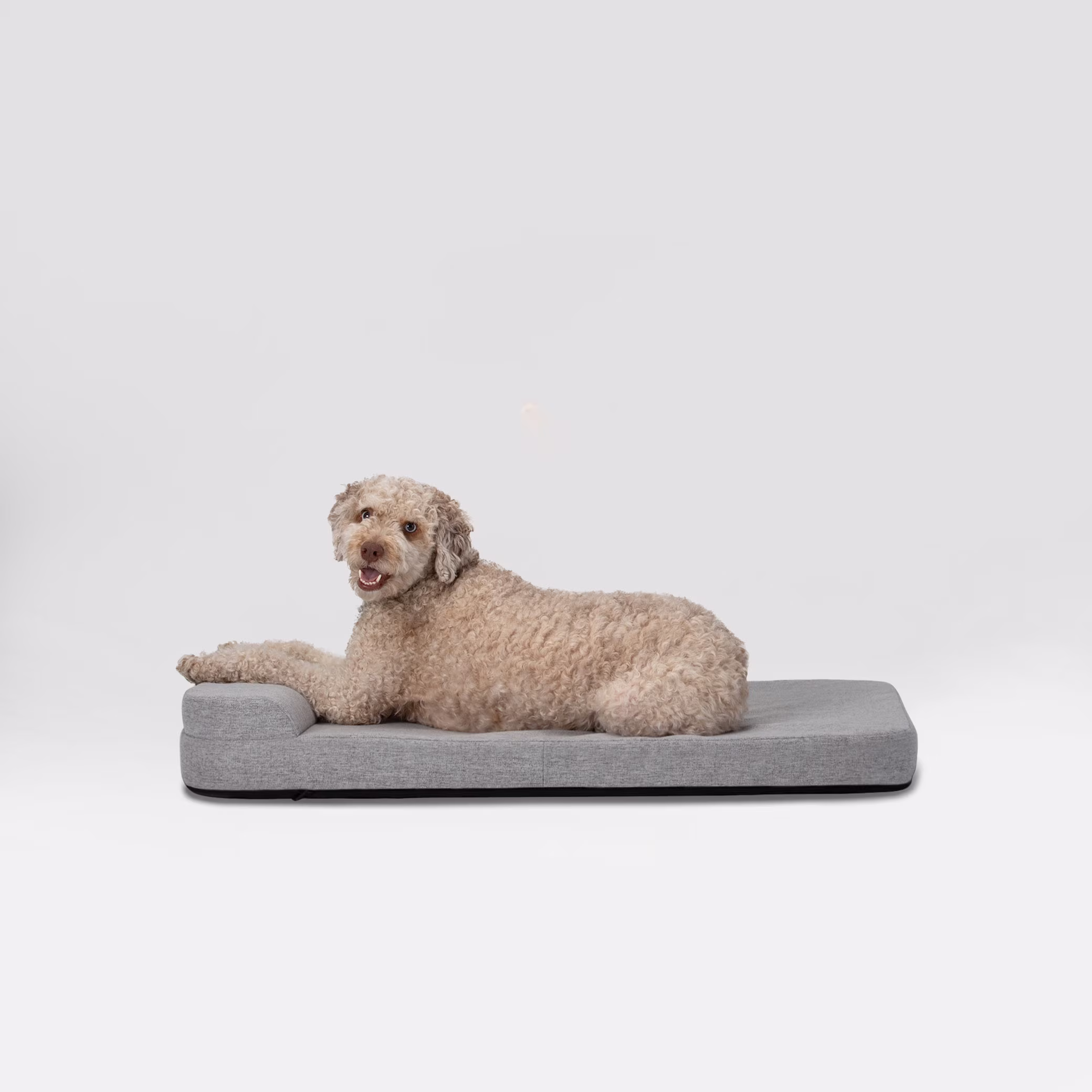 Diggs 36" Bolstr Dog Bed with Headrest - Premium Memory Foam Pet Bed for Crate or Home - Grey