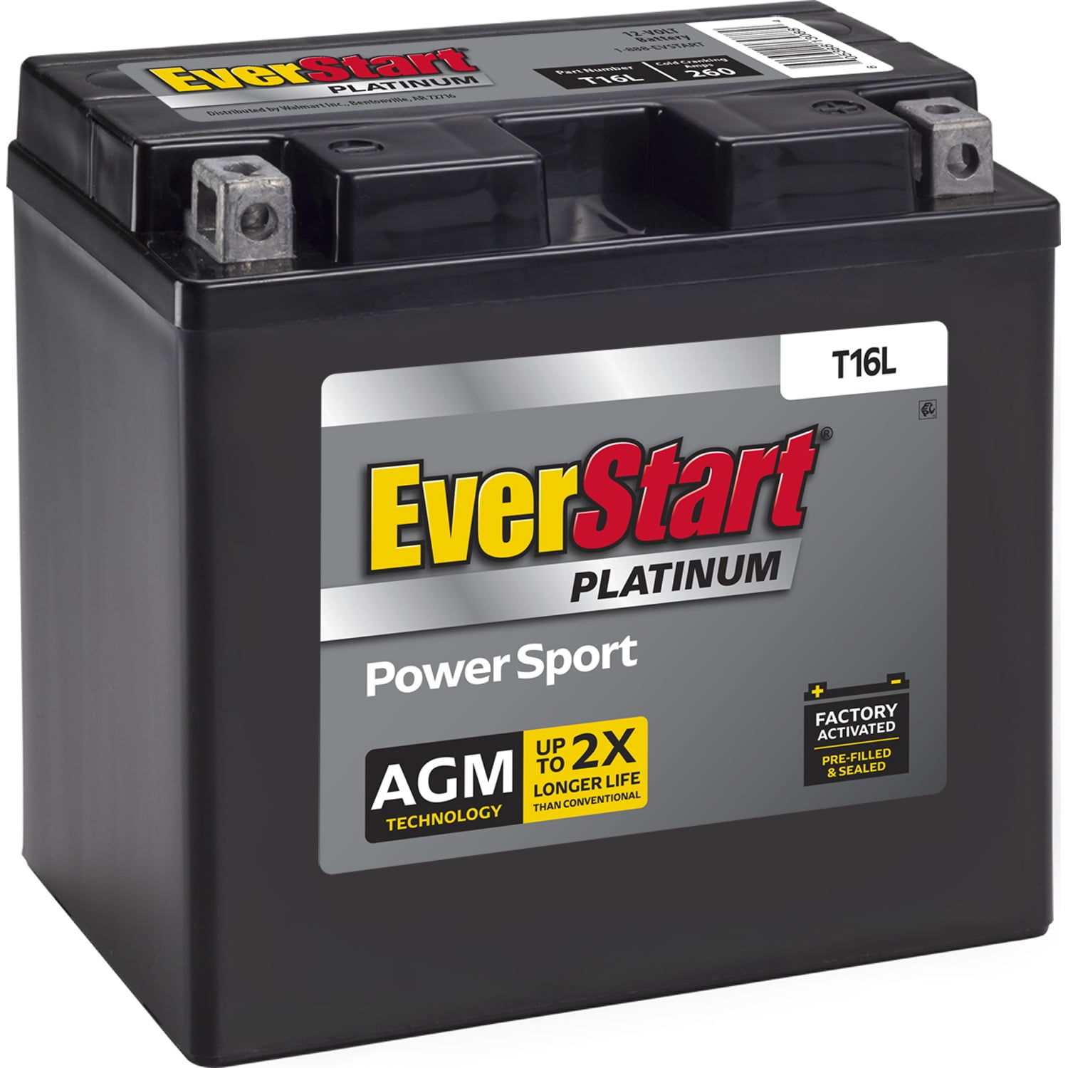 EverStart Platinum BOXED AGM Power Sport Battery, Group Size T16L 12 Volt, 260 CCA