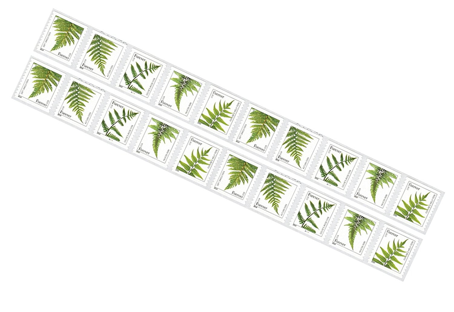 Ferns 2 Strips of 10 USPS Forever Postage Stamps featuring 5 Different Designs of Ferns (20 Stamps)