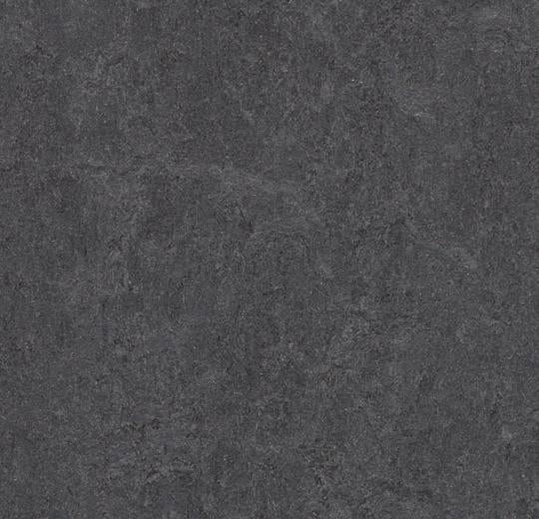 Forbo Flooring Marmoleum Cinch Loc Seal Laminate Panel in Volcanic Ash 11.81inx35.43in. 20.34SF