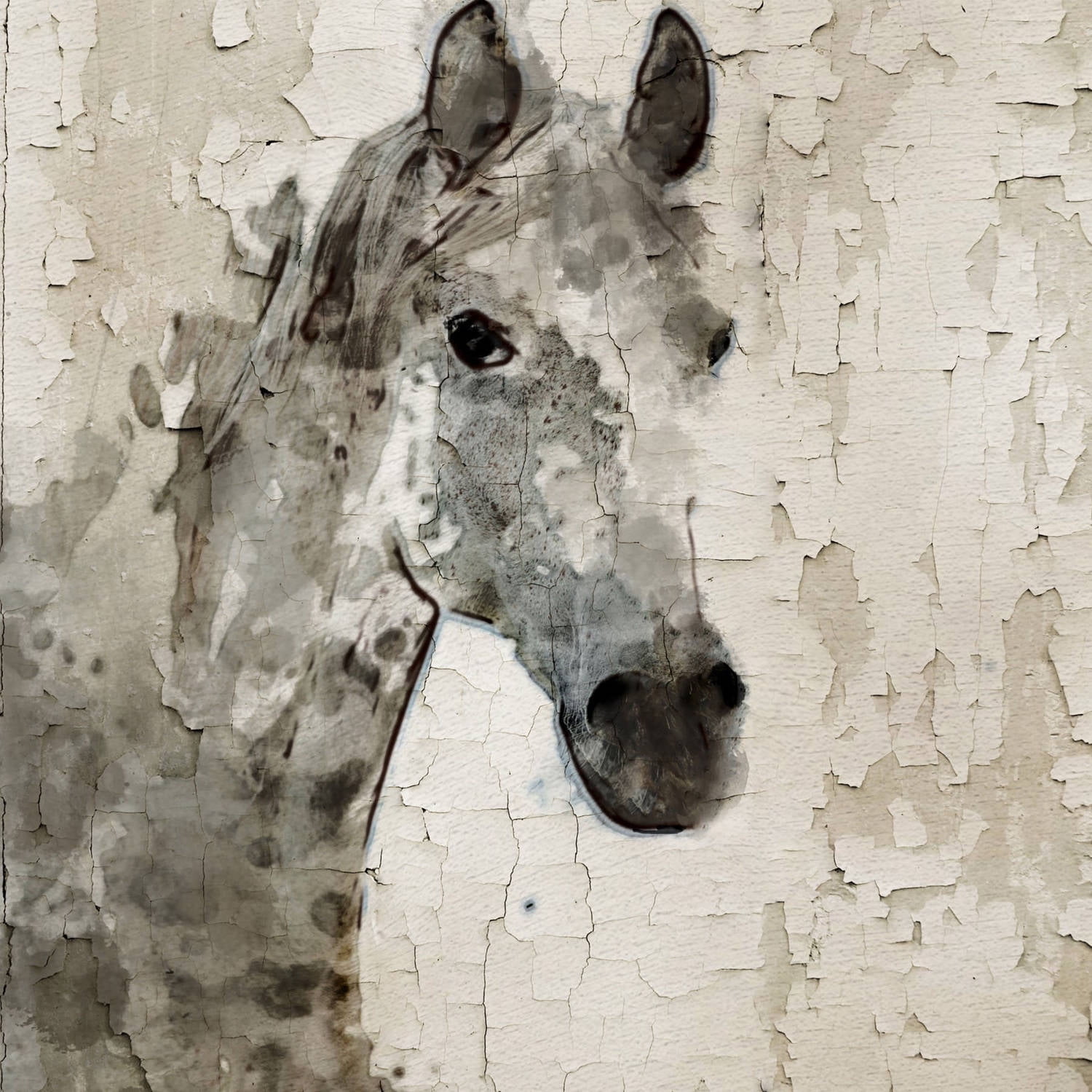 Glaeta Horse Painting Print on Wrapped Canvas