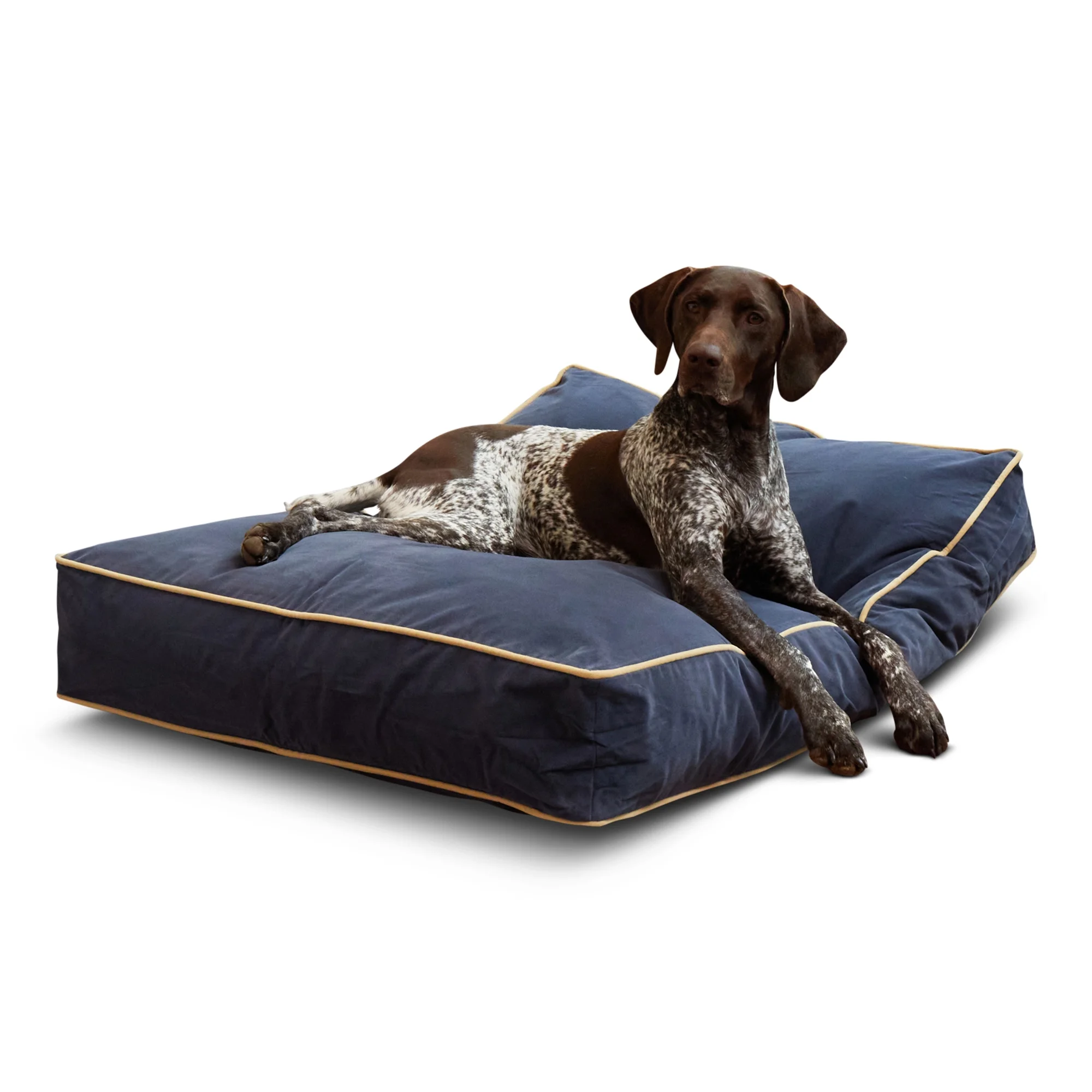 Happy Hounds Buster Rectangle Pillow Style Dog Bed, Denim, Medium (42 x 30 in.)