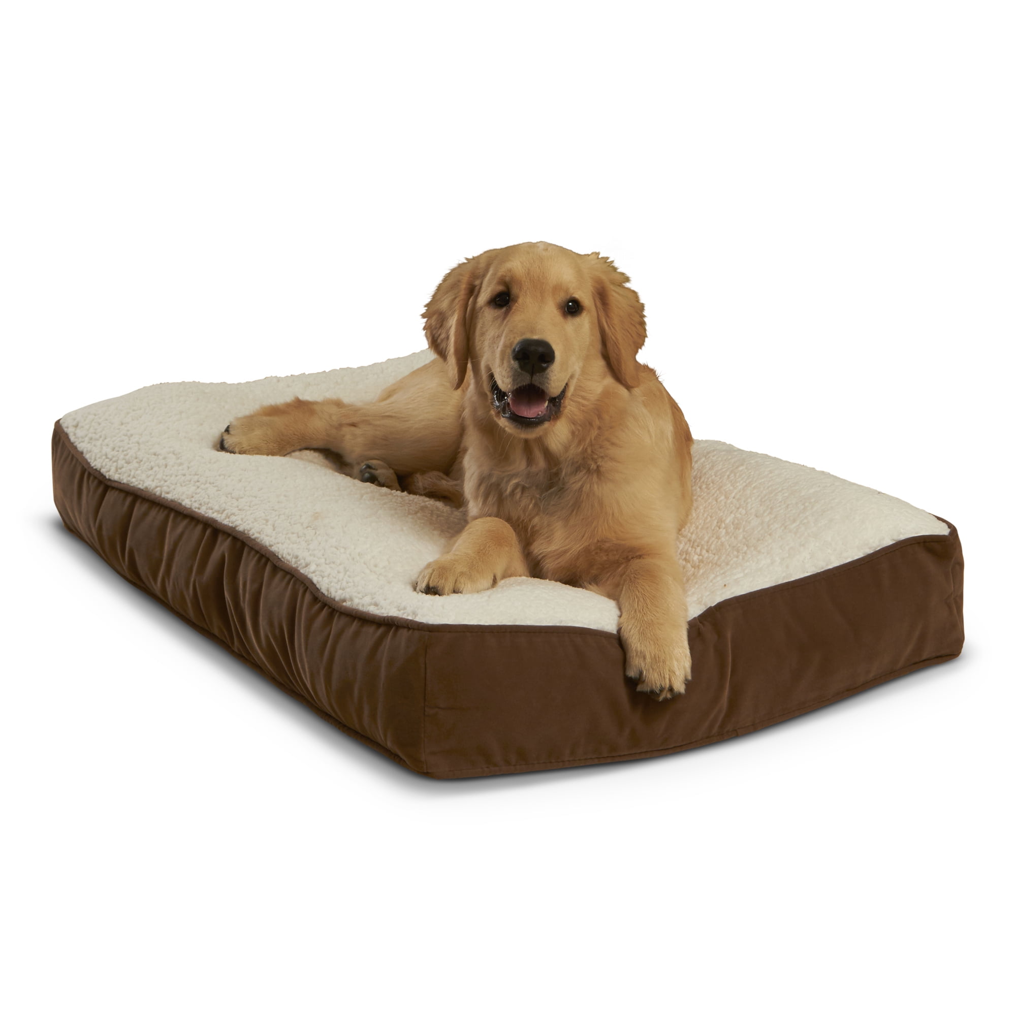 Happy Hounds Buster Sherpa Rectangle Pillow Style Dog Bed, Latte, Small (36 x 24 in.)