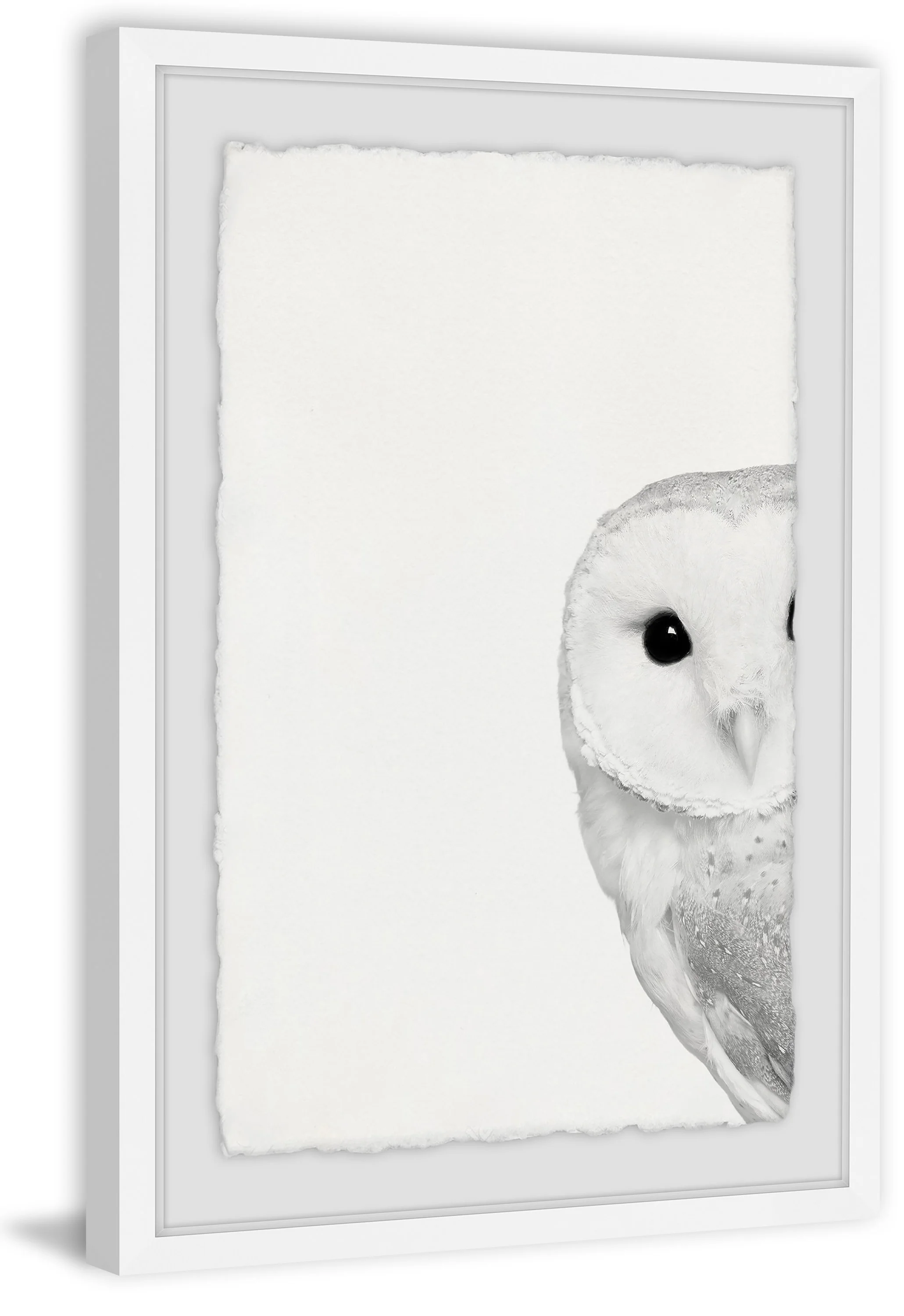 Hidden Owl Framed Painting Print