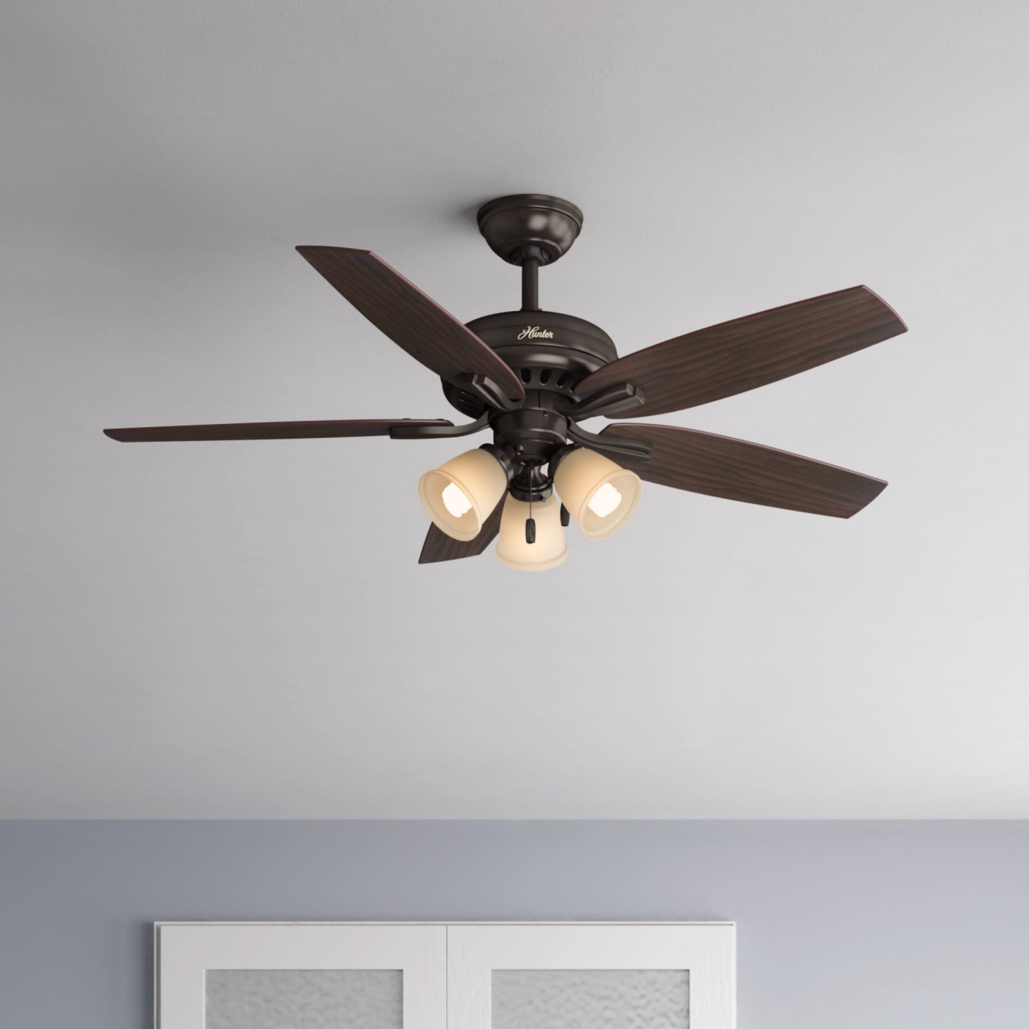 Hunter 52 inch Indoor Ceiling Fan with LED Lights - Bronze Ceiling Fan with Pull Chain, For Bedroom or Living Room, Standard Mount, No Remote, 5 Blades, Includes Bulbs - Newsome 53317, Premier Bronze
