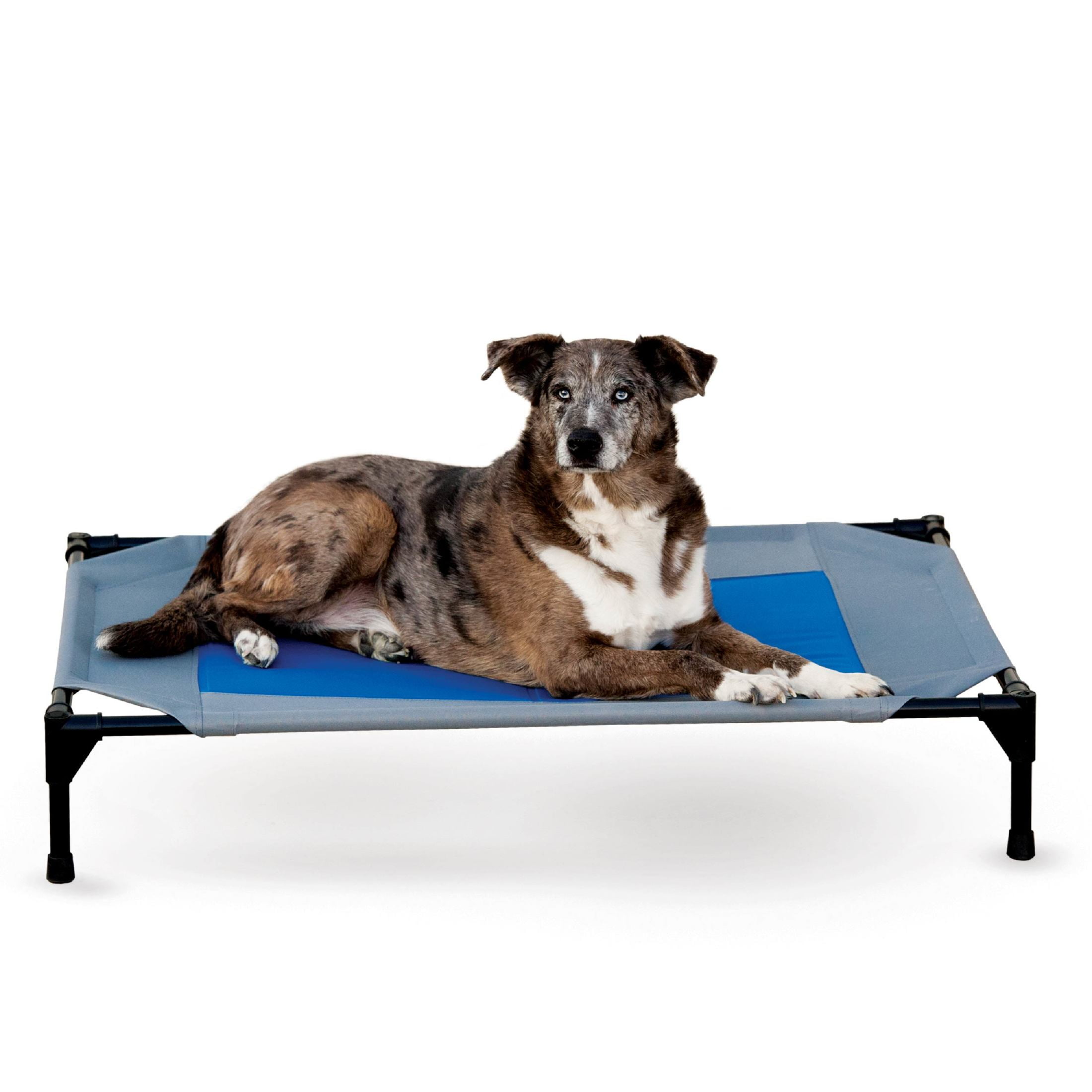 K&H Pet Products Coolin' Pet Cot Elevated Pet Bed Gray/Blue Large 42 X 30 X 7 Inches