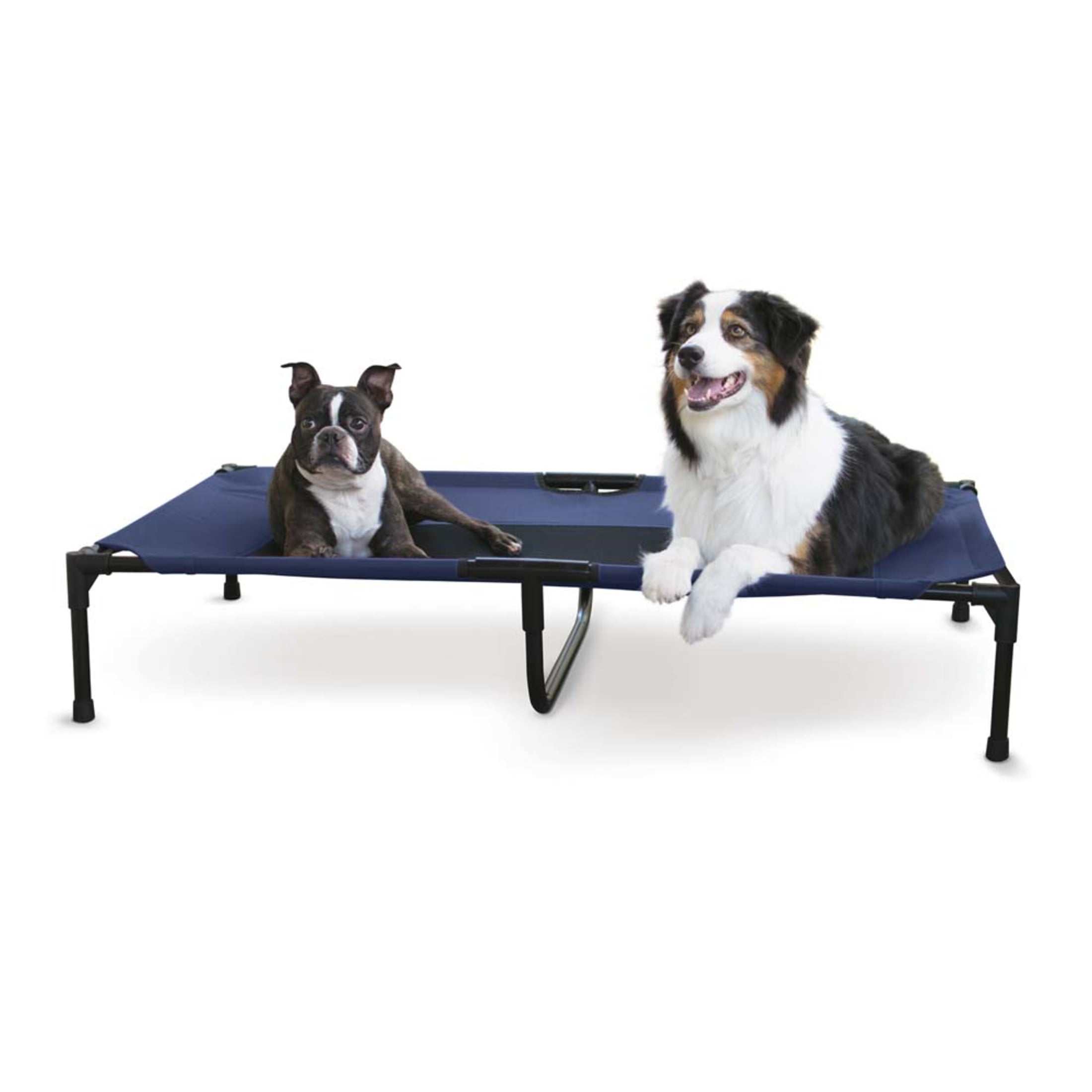 K&H Pet Products Original Pet Cot Elevated Dog Bed Blue/Black Mesh X-Large 50 X 32 X 9 Inches
