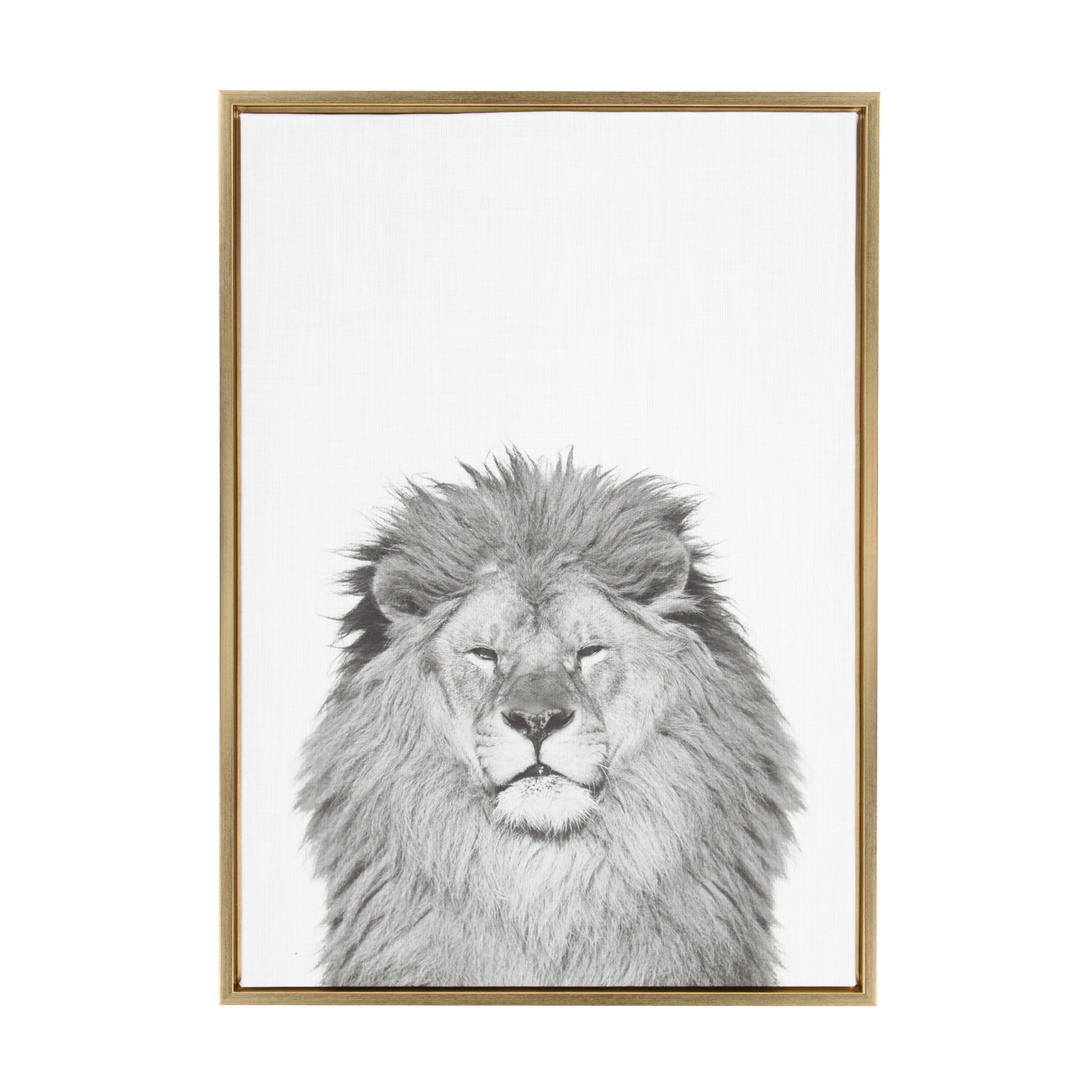 Kate and Laurel Sylvie Lion Animal Print Black and White Portrait Framed Canvas Wall Art by Simon Te Tai, 23x33 Gold