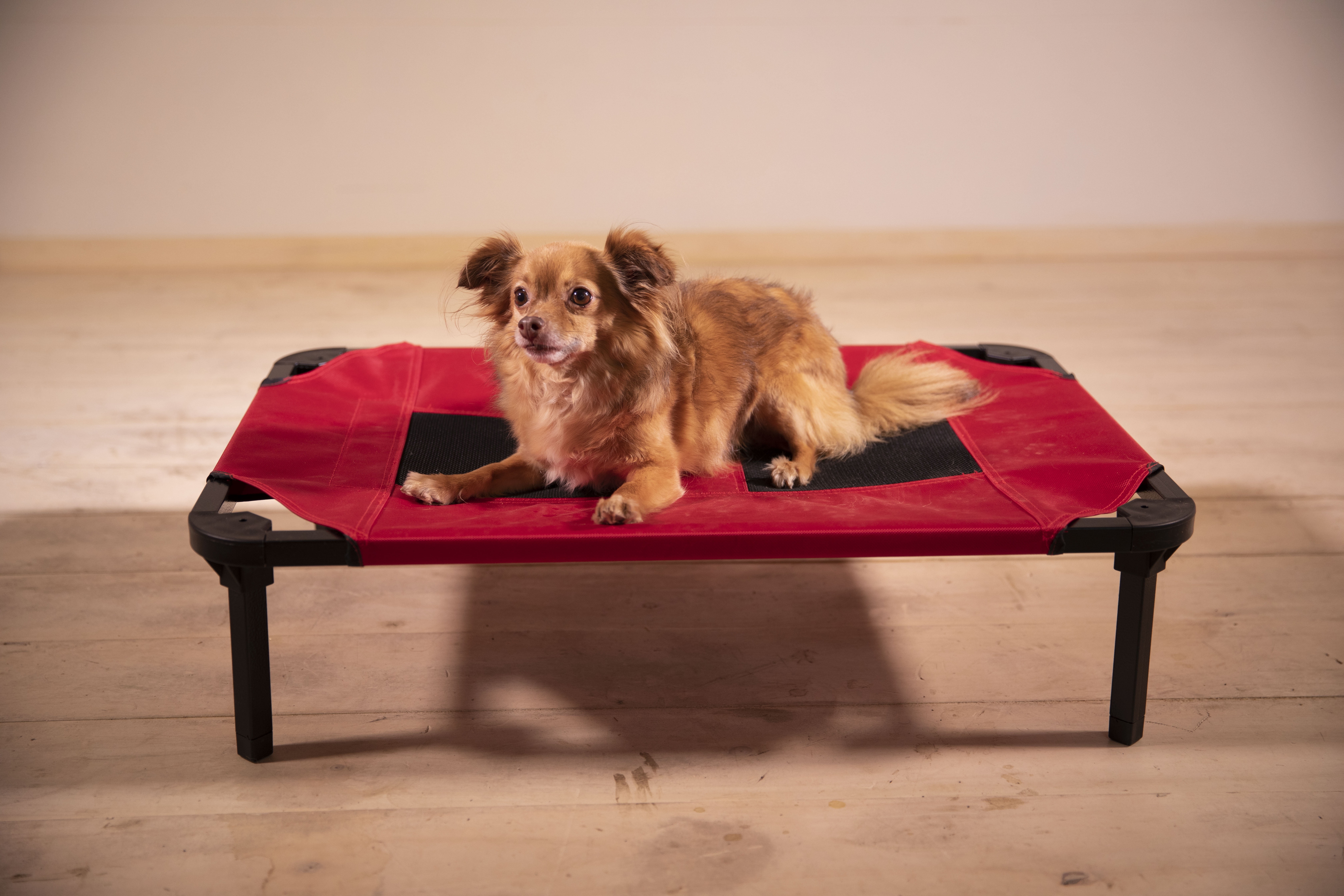 Lucky Dog Elevated Pet Bed, Red, Medium, 36"L