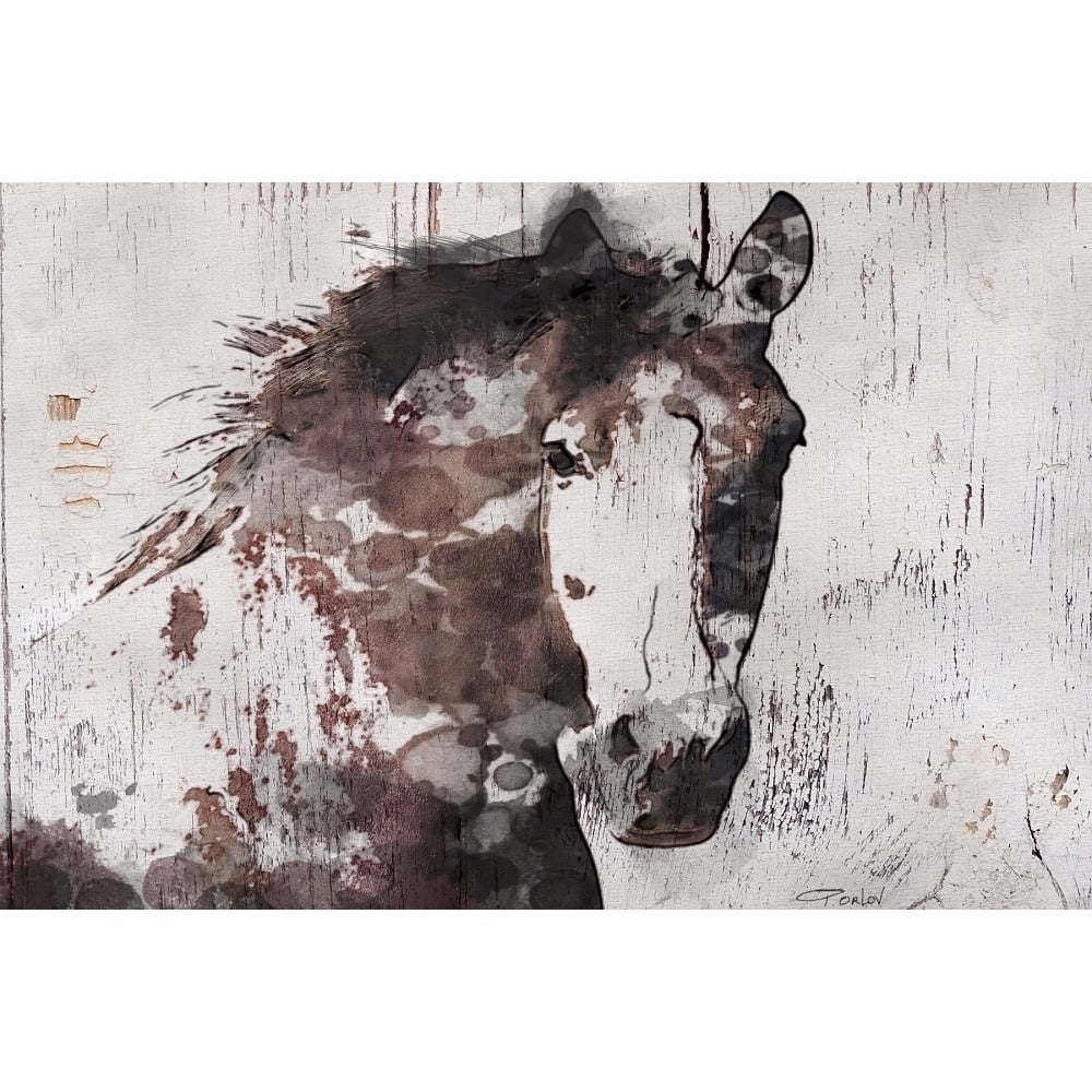 Marmont Hill Gorgeous Horse by Irena Orlov Canvas Wall Art