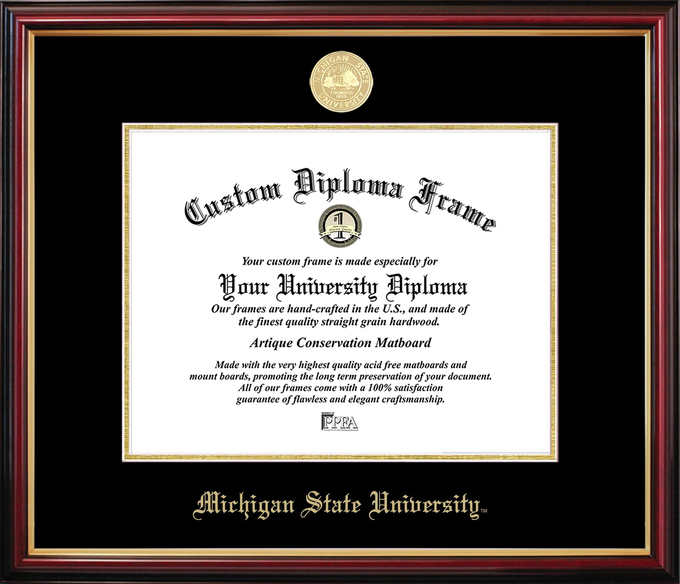 Michigan State Petite Diploma Frame