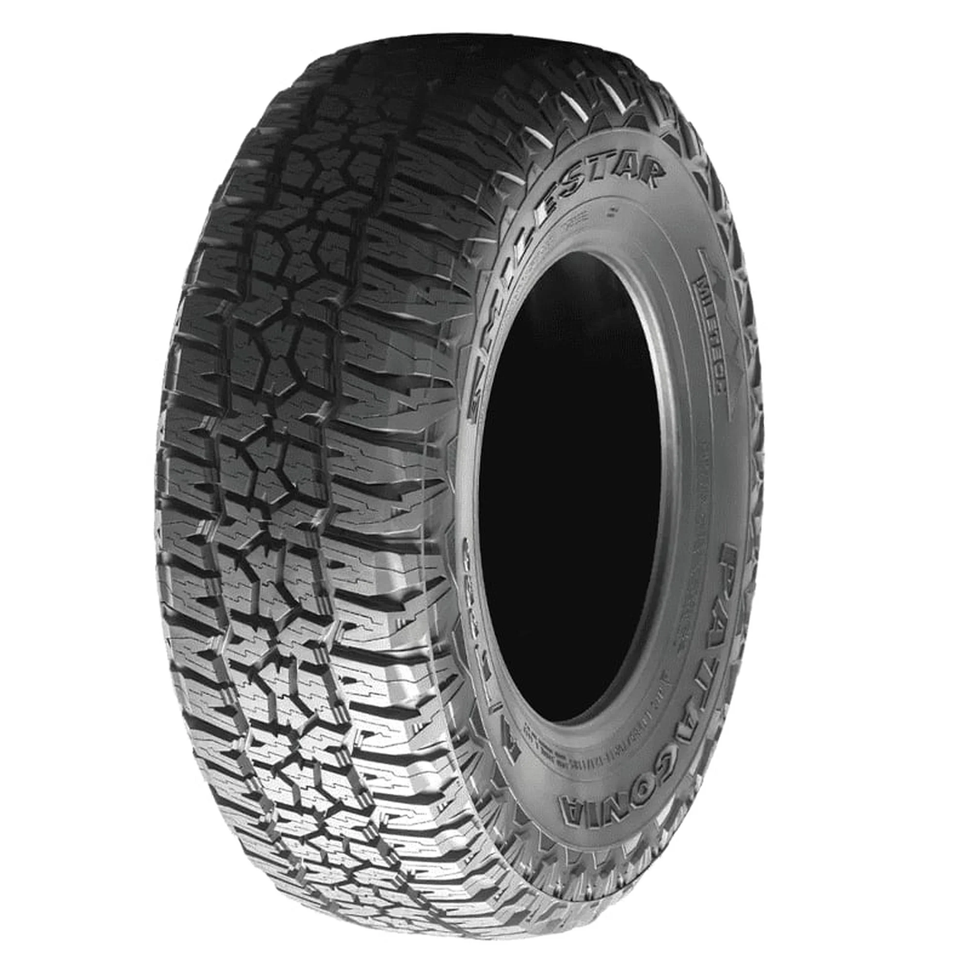 Milestar Patagonia A/T Pro All Terrain LT275/70R17 121/118S E SUV/Crossover Tire