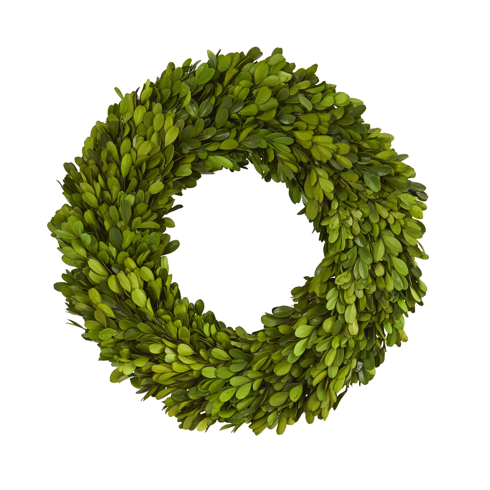 Nearly Natural 14in. Preserved Boxwood Wreath, Green