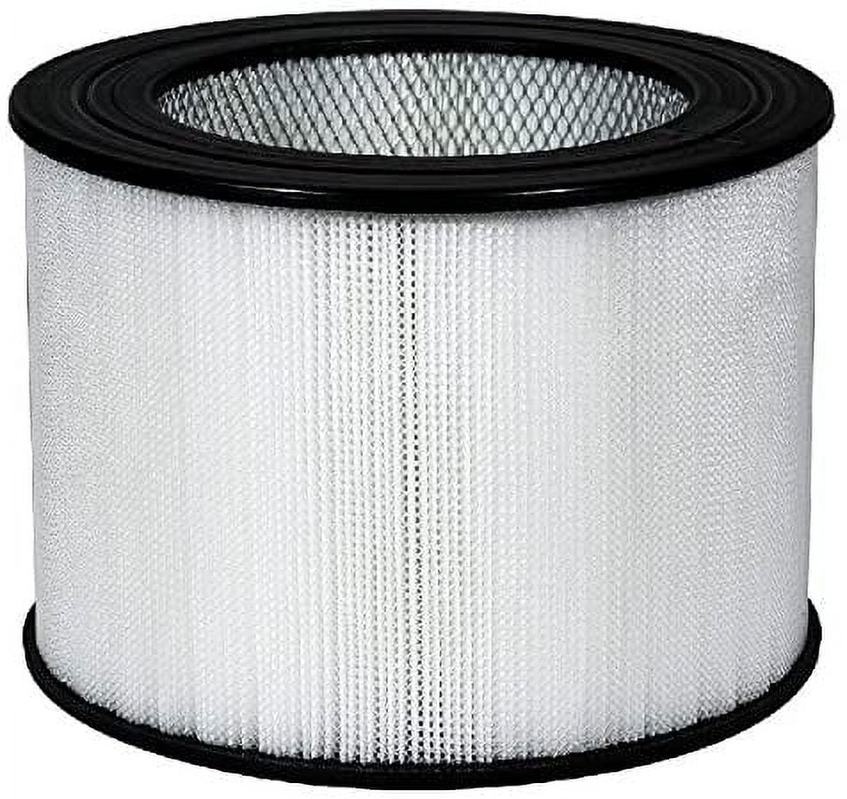 Nispira Replacement True HEPA Air Filter Compatible Honeywell 24000, 1 Pack