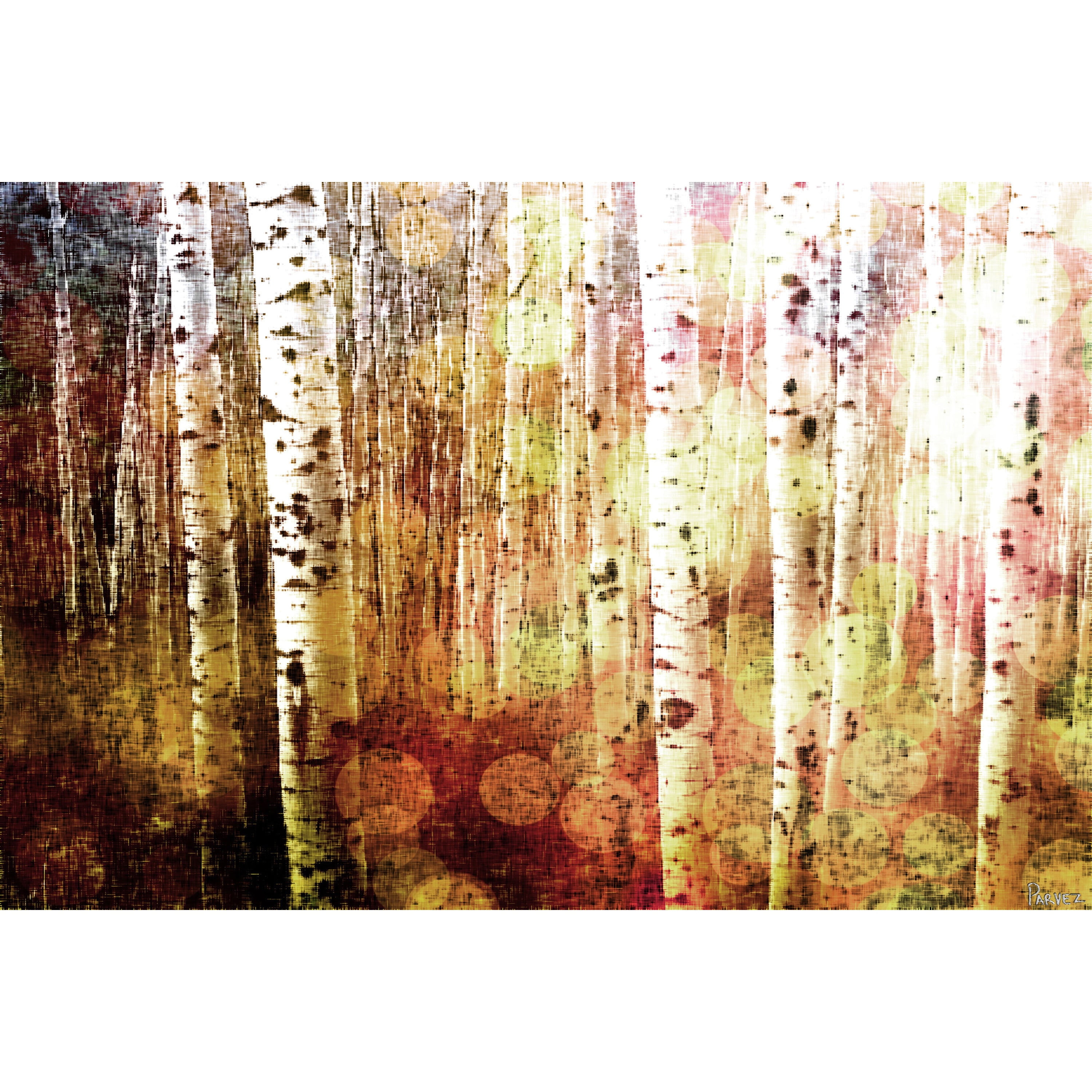 Parvez Taj Aspen Painting Print on Wrapped Canvas