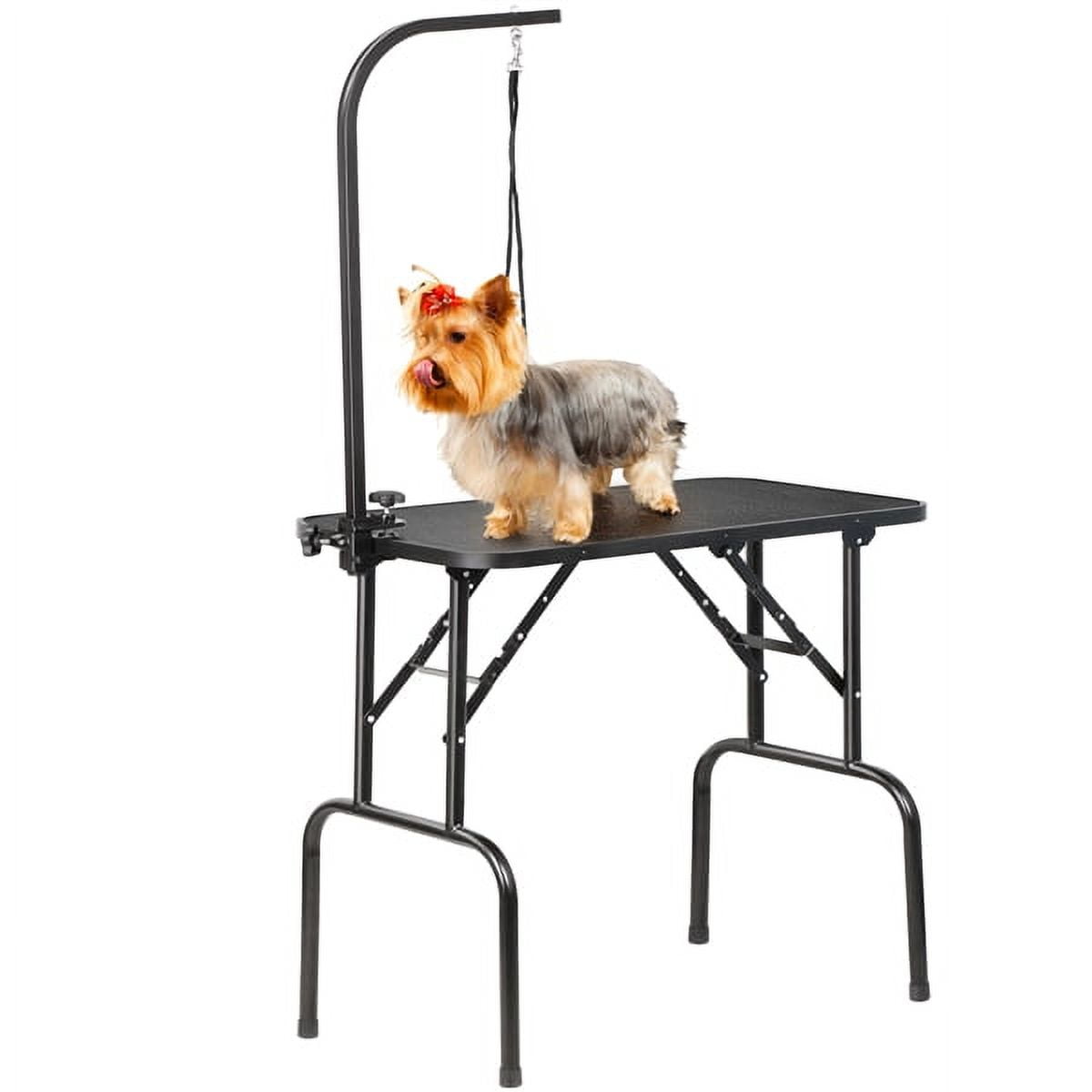 Renwick 32-inch Dog Cat Foldable Grooming Table with Adjustable Height Arm Black