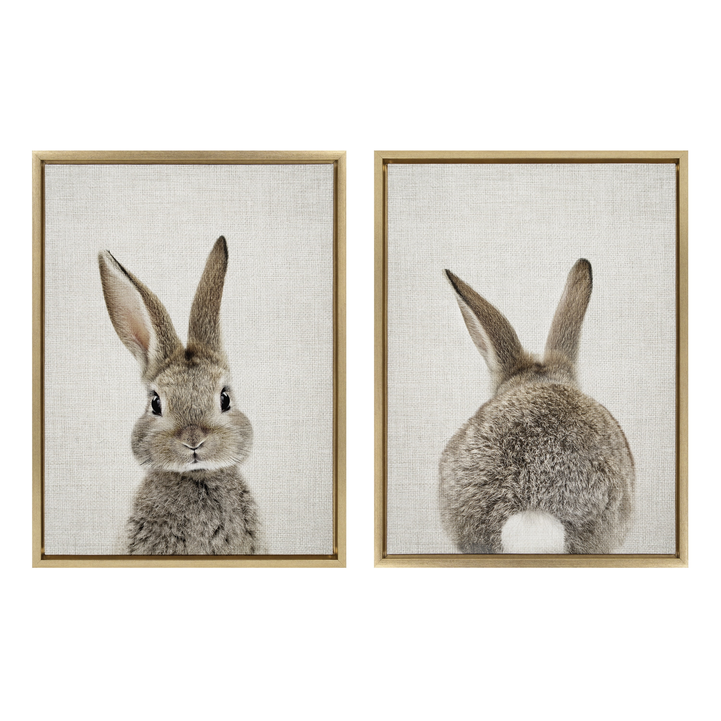 Sylvie Bunny Portrait on Linen and Bunny Tail on Linen 18 in x 24 in Framed Painting Canvas Art Prints, by Kate and Laurel Set of 2