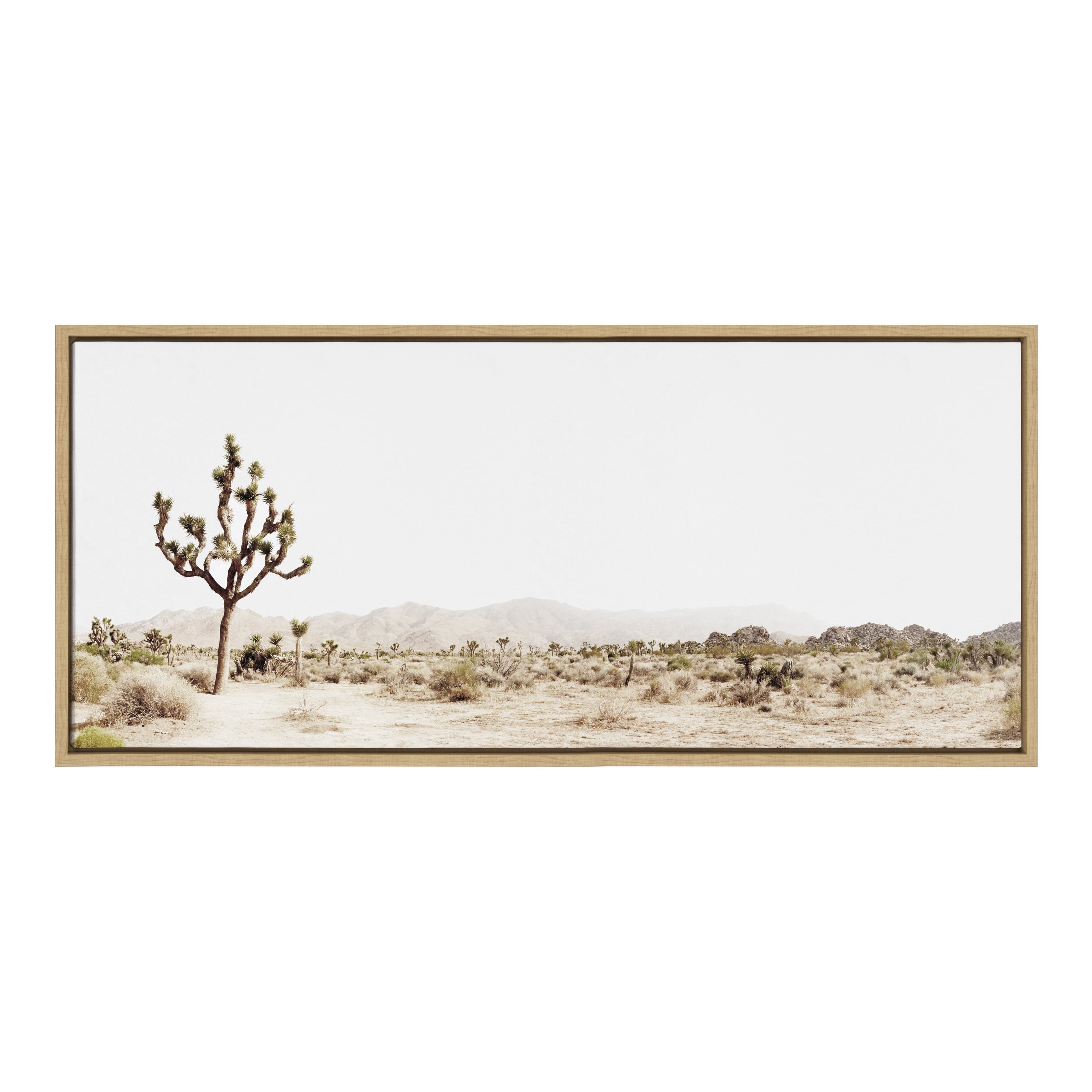 Sylvie Lone Joshua Tree 40 in x 18 in Framed Photography Canvas Art Print, by Kate and Laurel