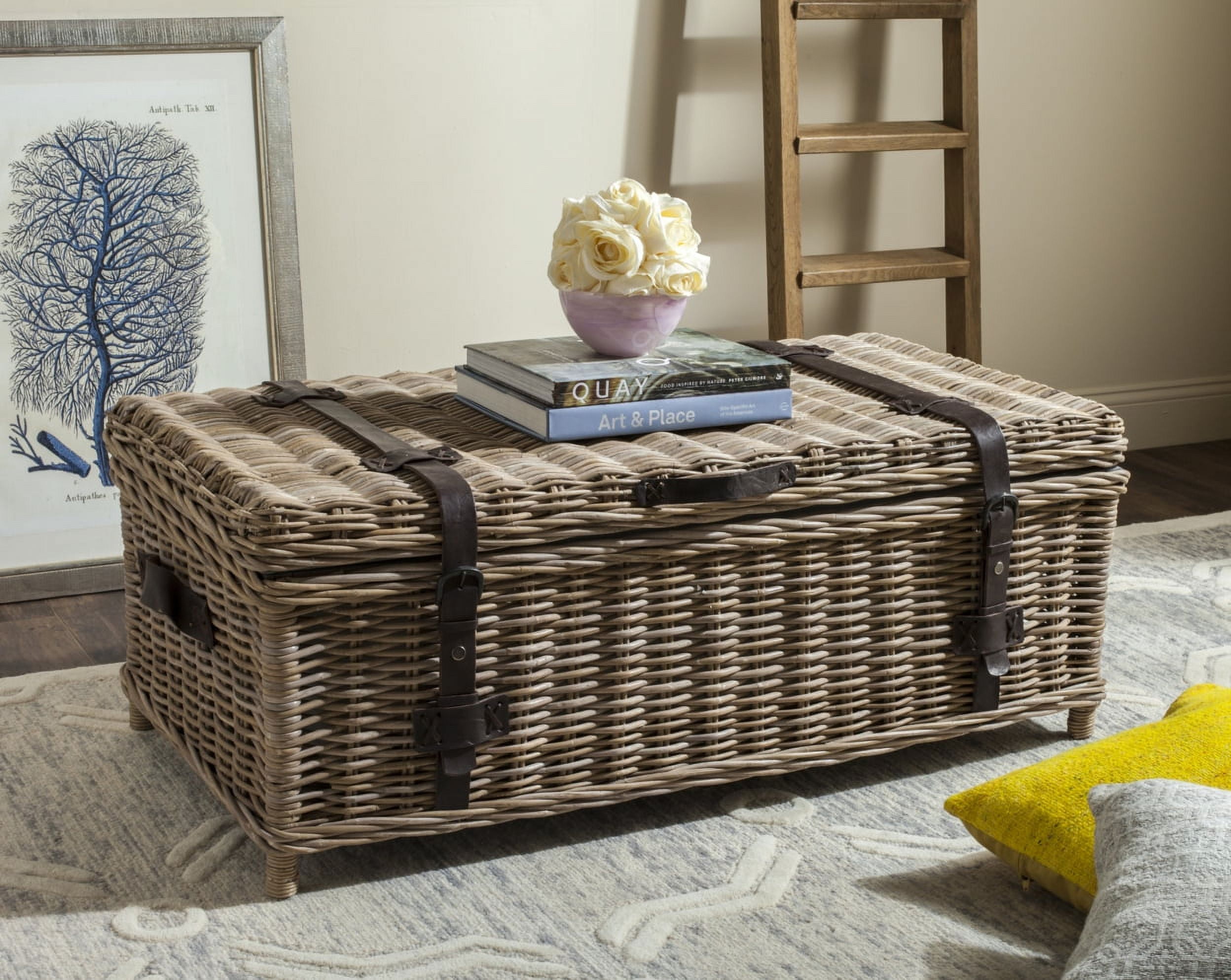 SAFAVIEH Navarro Rattan Coffee Table Trunk Grey