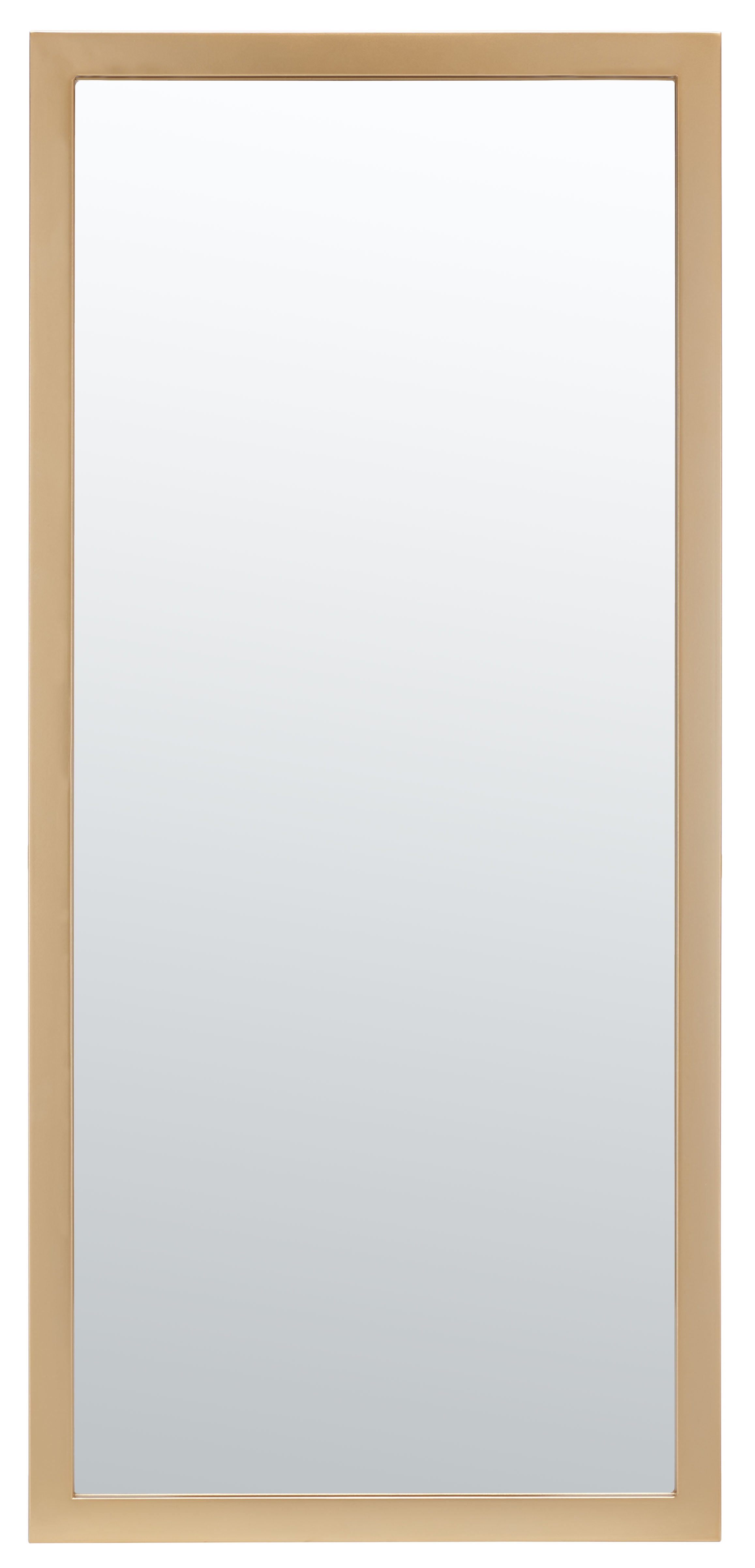 SAFAVIEH Pravina 18 in. x 39.5 in. Solid Frame Mirror, Gold