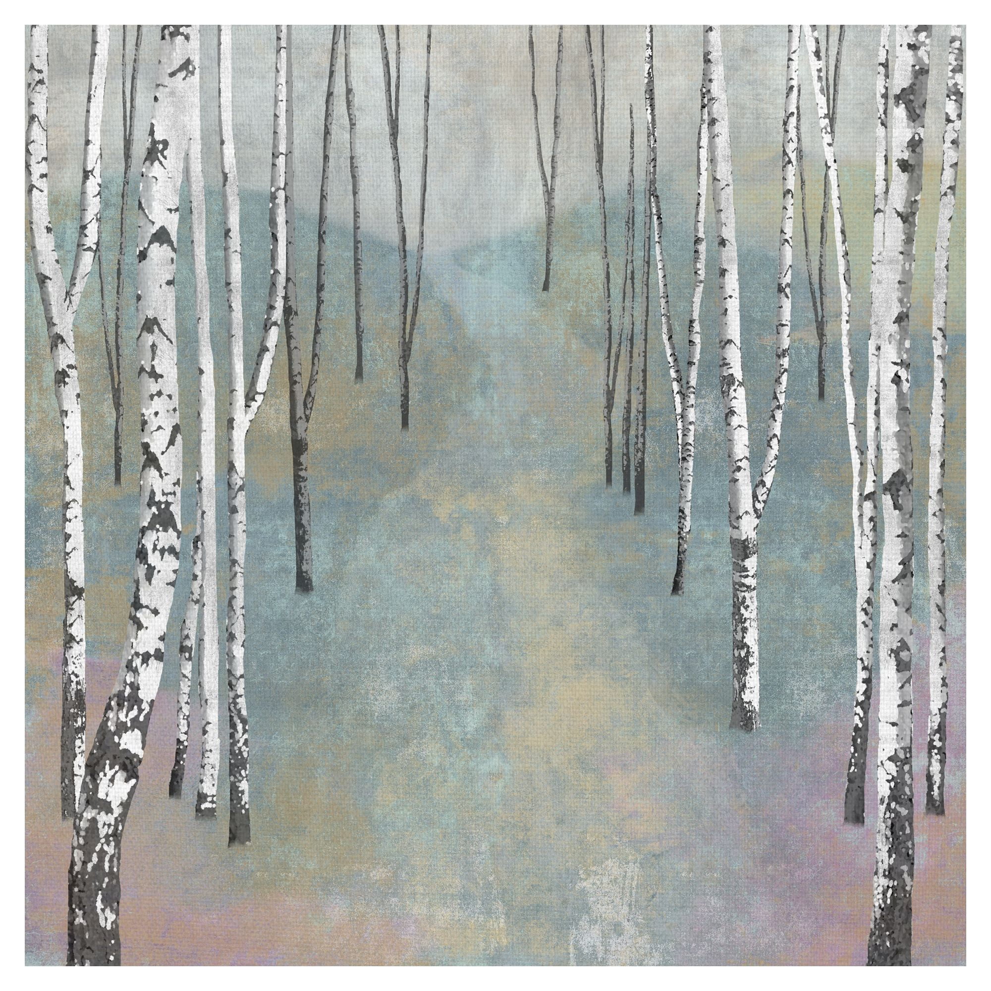 Silver Trees Path I by Tania Bello Birch Trees Canvas Art