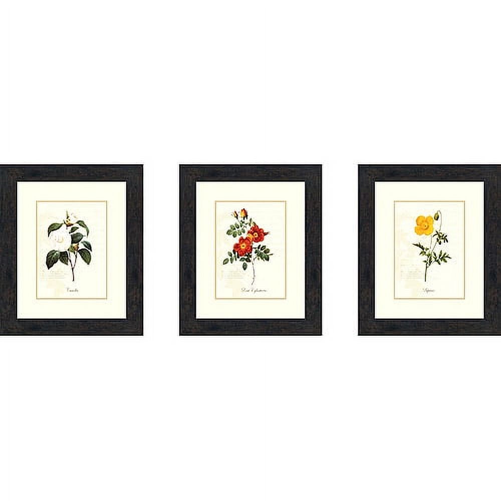 Simplicity Floral Botanical & Flowers Framed Art Prints, Set of 3, by PTM Images