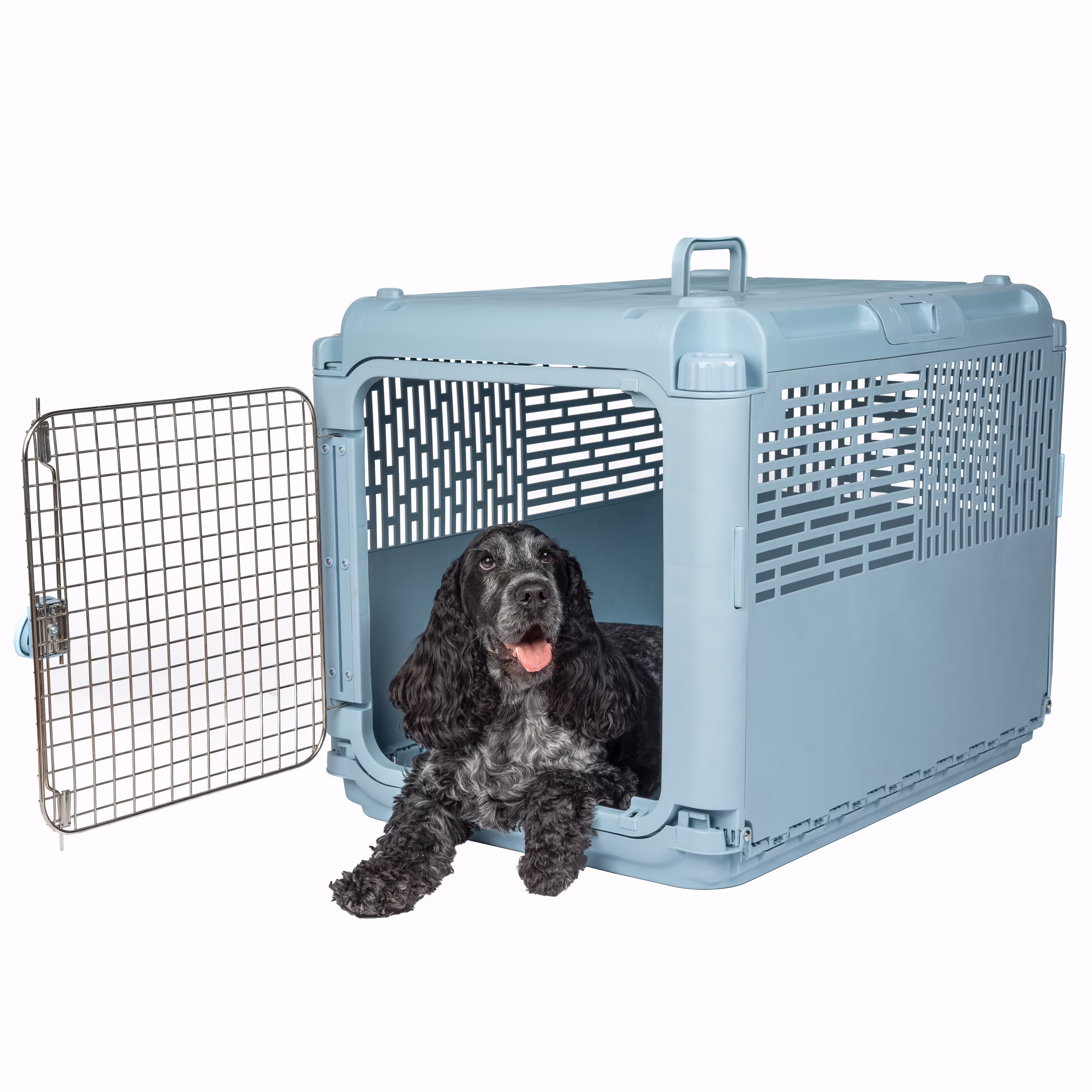 Sport Pet Designs, Dog Kennels, 30" Collapsible Plastic Pet Kennel/Crate, Blue, Medium