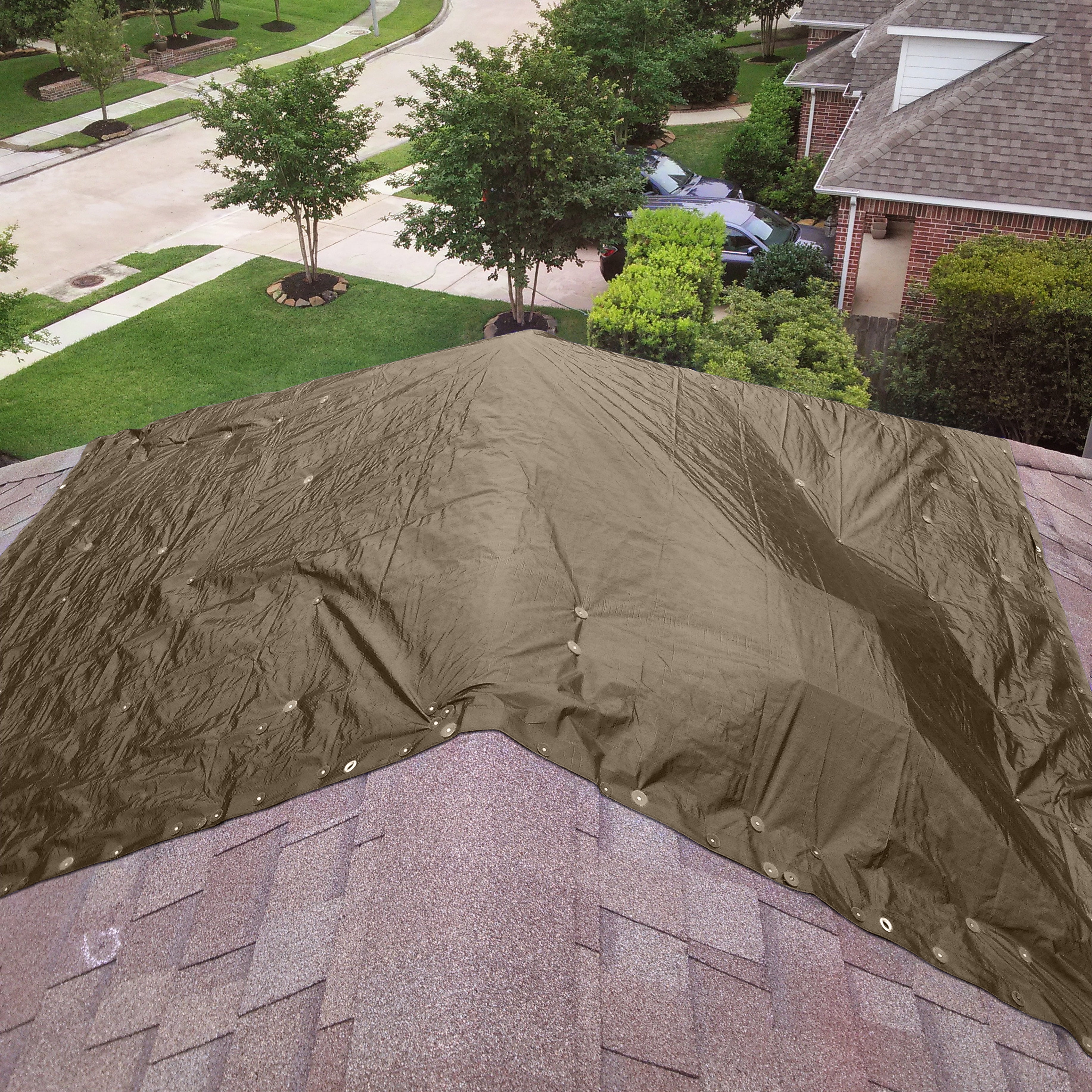 Strategy 16 Mil Construction Grade Polyethylene Tarp Cover 30' x 16'