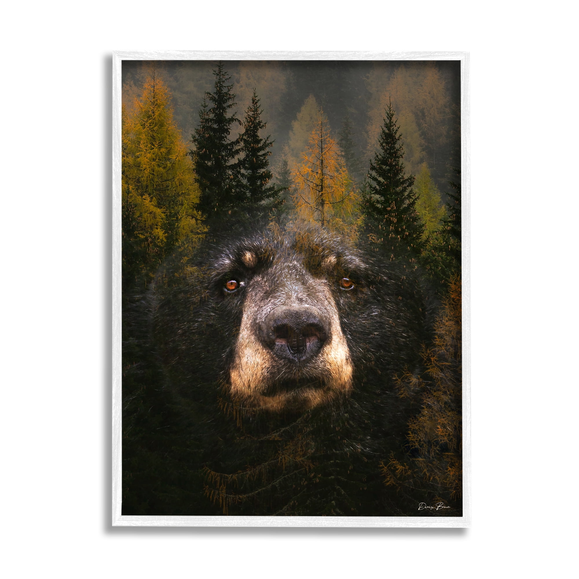 Stupell Industries Abstract Black Bear Wilderness Pine Forest Modern Photography White Framed Art Print Wall Art, 24x30, by Denise Brown