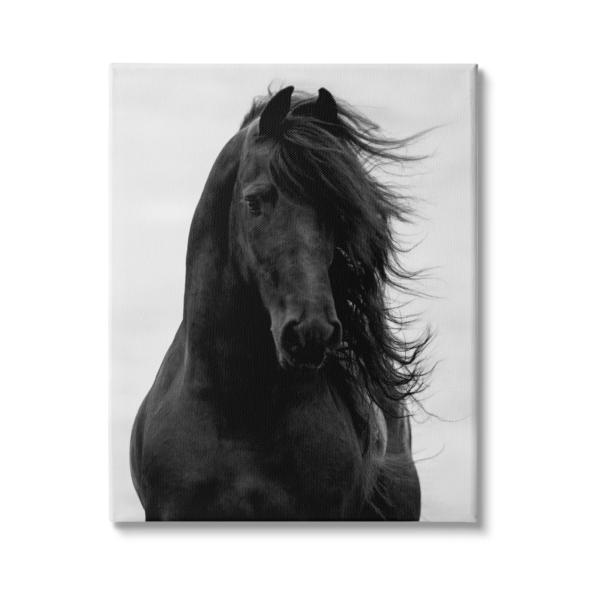 Stupell Industries Black Stallion Horse Portrait Soft Grey Sky Photography, 36 x 48, Design by Carol Walker