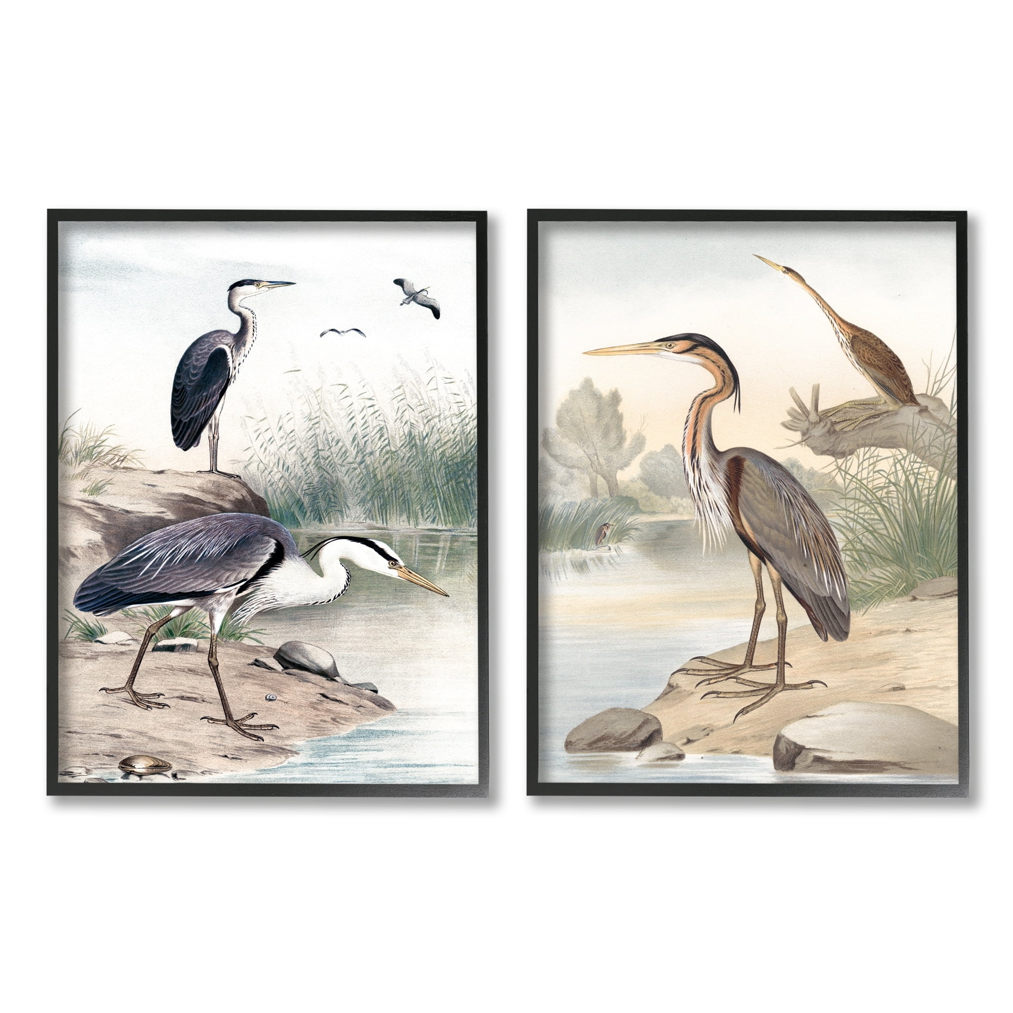 Stupell Industries Elegant Heron Birds Foraging River Edge Scene Graphic Art Black Framed Art Print Wall Art, Set of 2, Design by Piddix