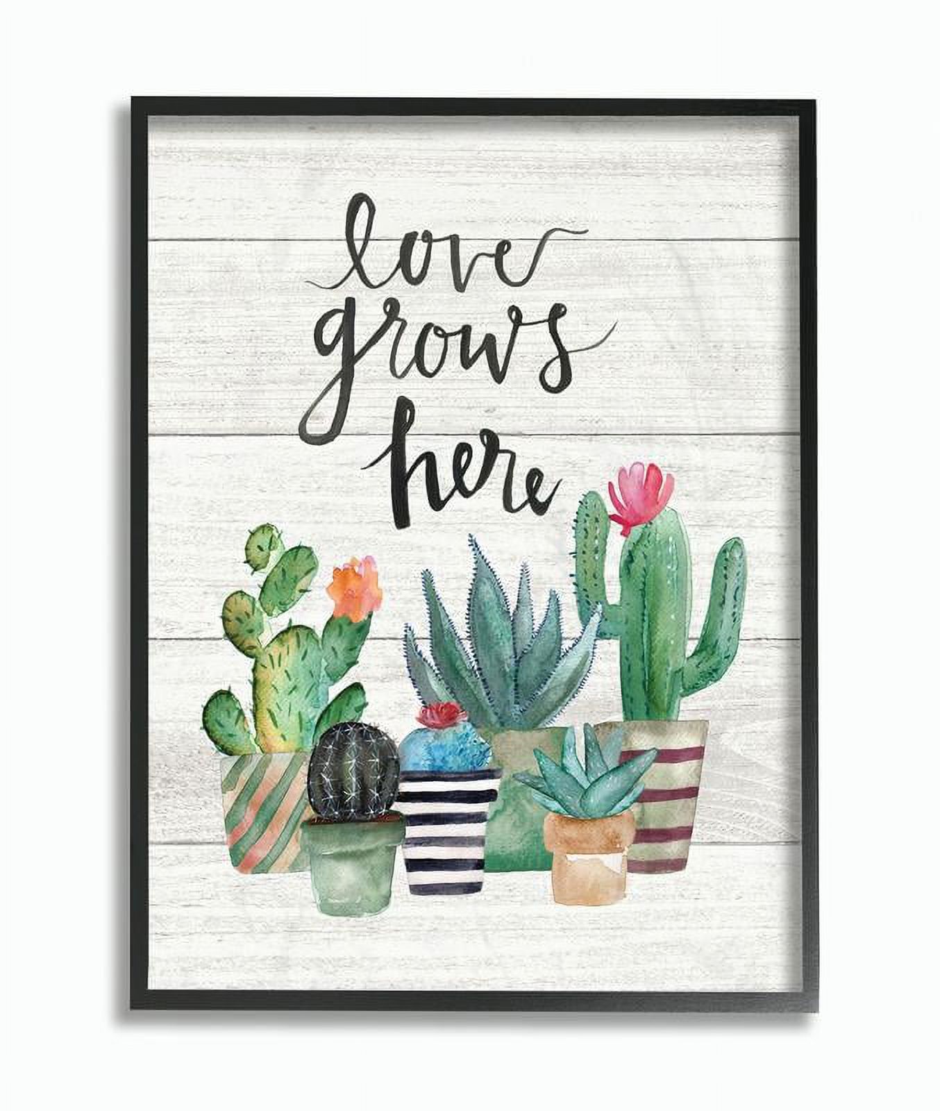 Stupell Industries Love Grows Here Cactus Succulents WatercolorFramed Wall Art by Jo Moulton