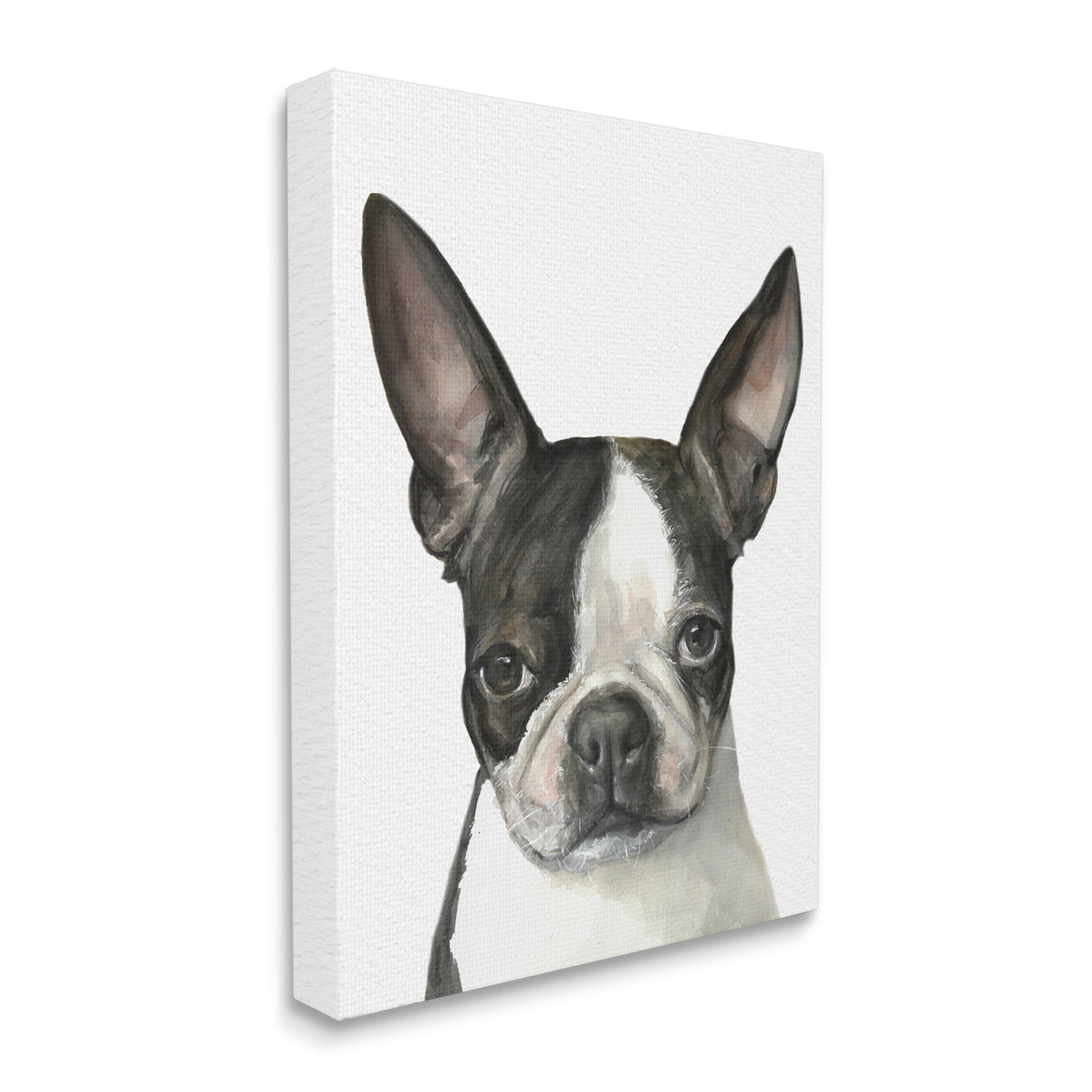 Stupell Industries Minimal Boston Terrier Portrait Pet Dog Black White Canvas Wall Art, 30 x 40, Design by George Dyachenko