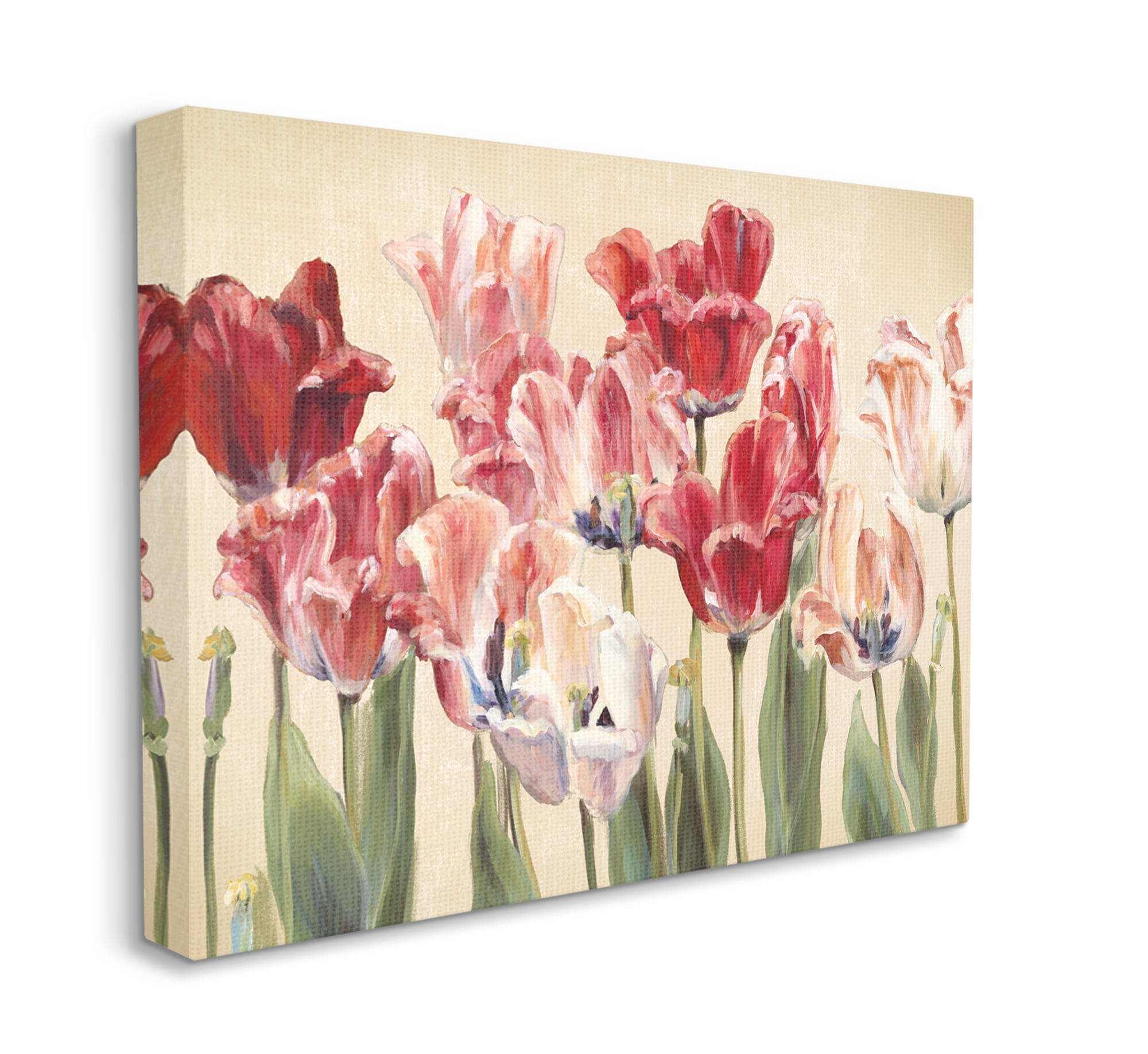 Stupell Industries Red and White Blooming Florals Charming Tulips Canvas Wall Art, 30 x 40, Design by Marilyn Hageman