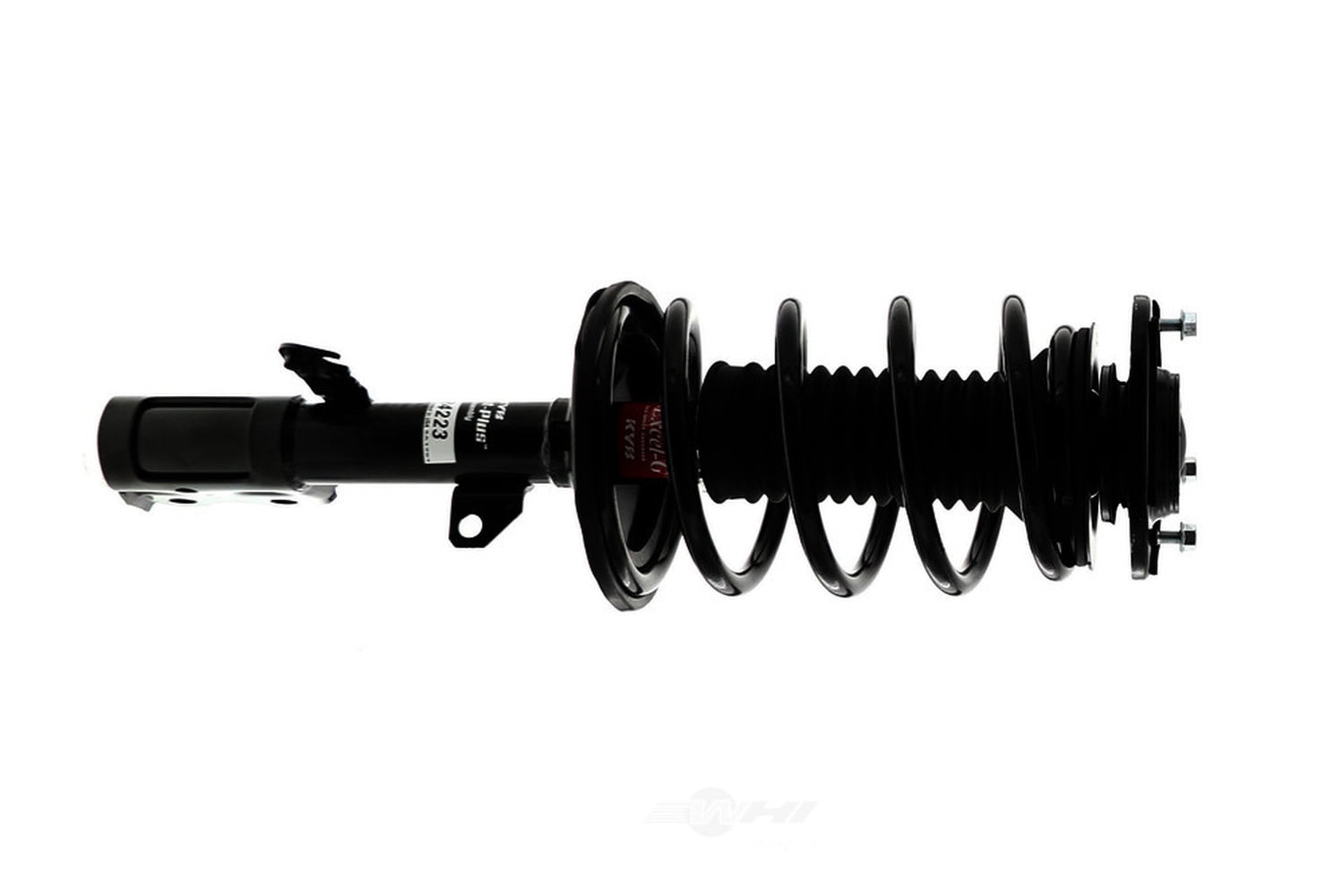 Suspension Strut and Coil Spring Assembly