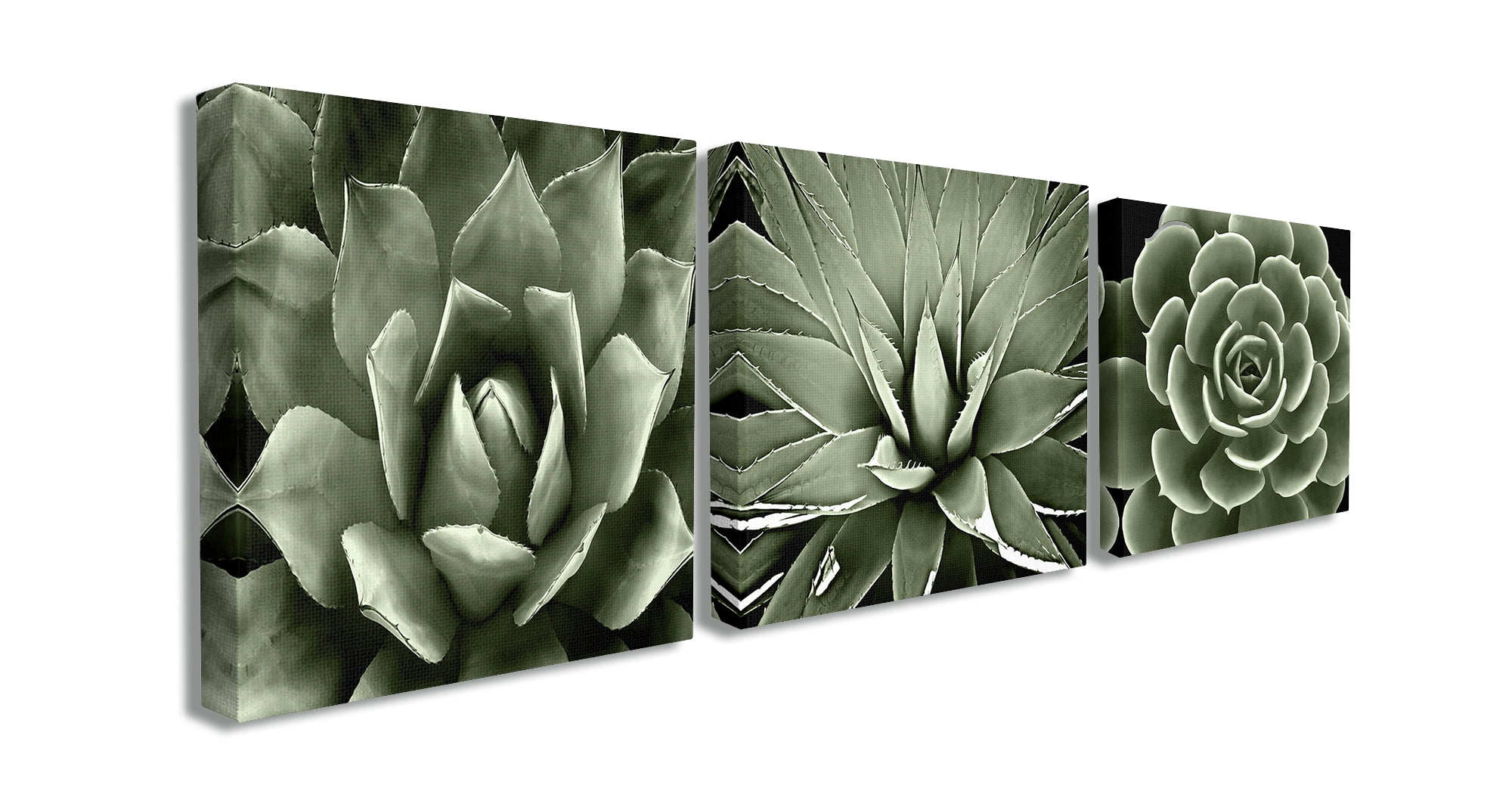 The Stupell Home Decor Collection Black and White Contrast Succulent Bloom Trio 3pc Stretched Canvas Art Set, 17 x 1.5 x 17