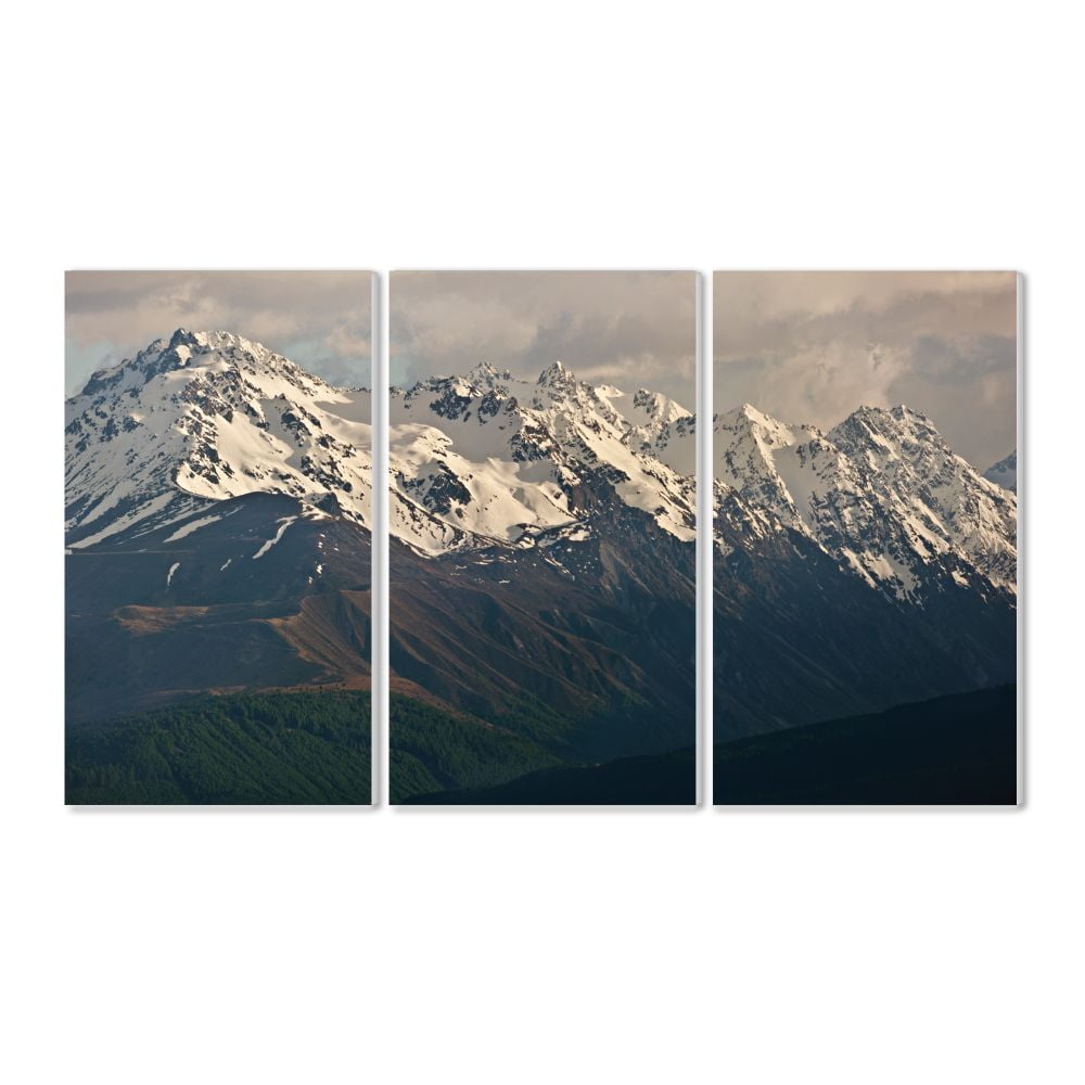 The Stupell Home Decor Collection Panoramic of the Southern Alps Wood Wall Art