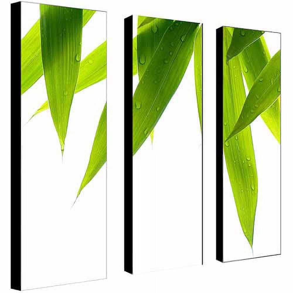 Trademark Art "Life is Green" by Philippe Sainte-Laudy, 3-Piece Panel Set, 8x24