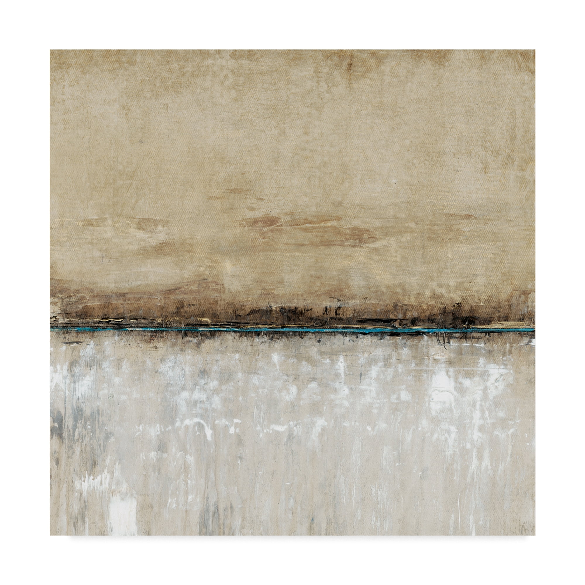 Trademark Fine Art 'Blue Line I' Canvas Art by Tim OToole
