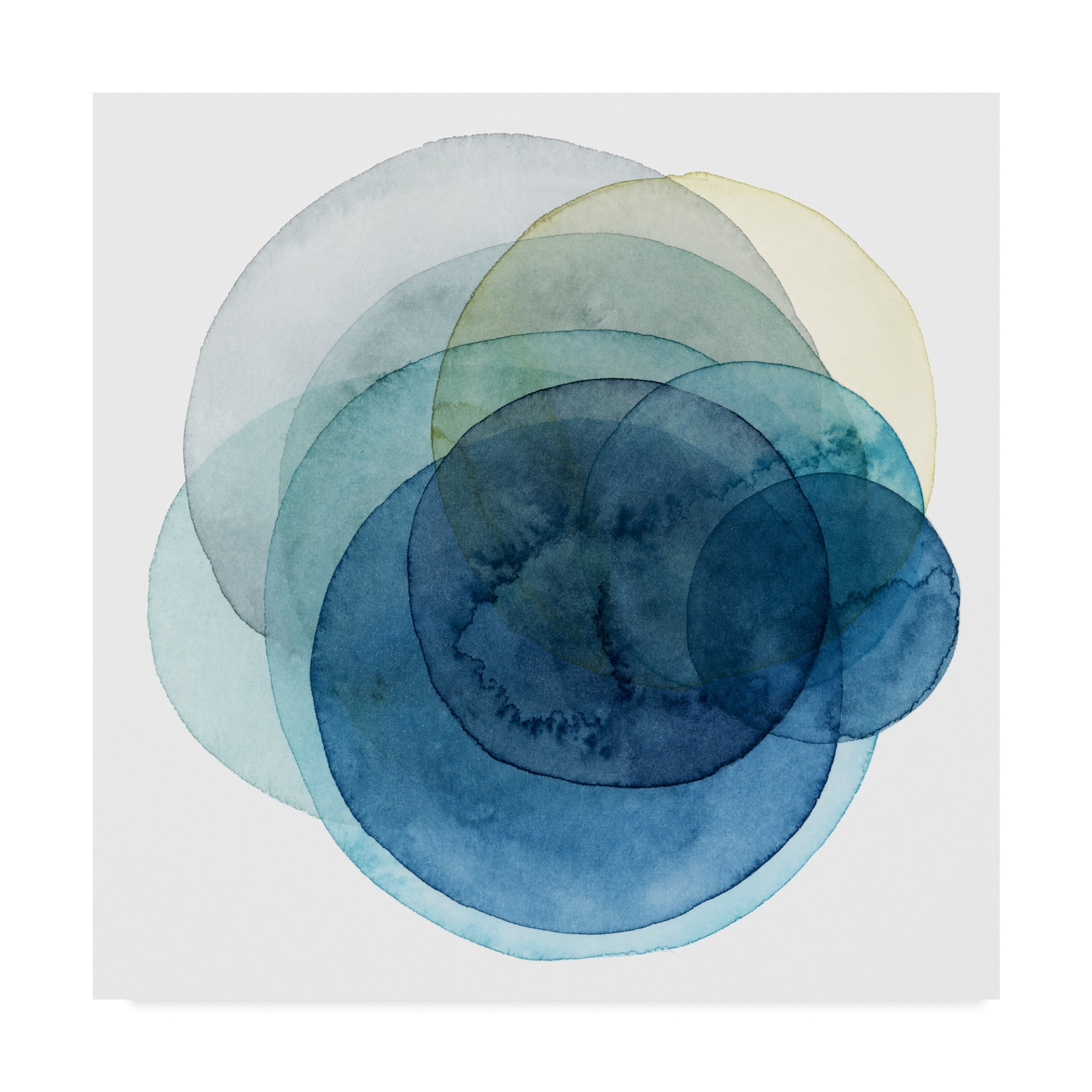 Trademark Fine Art 'Evolving Planets I' Canvas Art by Grace Popp