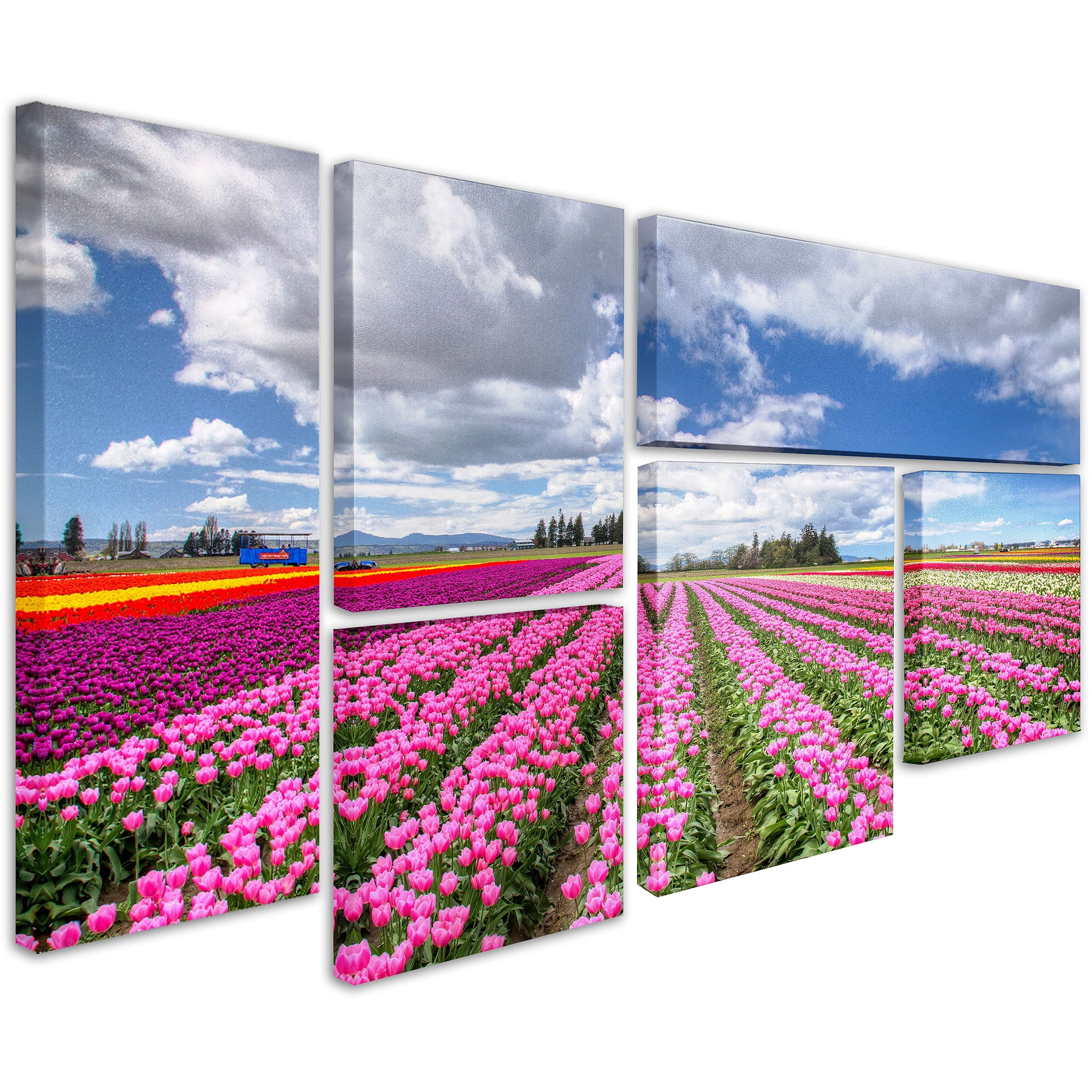 Trademark Fine Art "Tulip Field" Multi-Panel Art Set by Pierre Leclerc