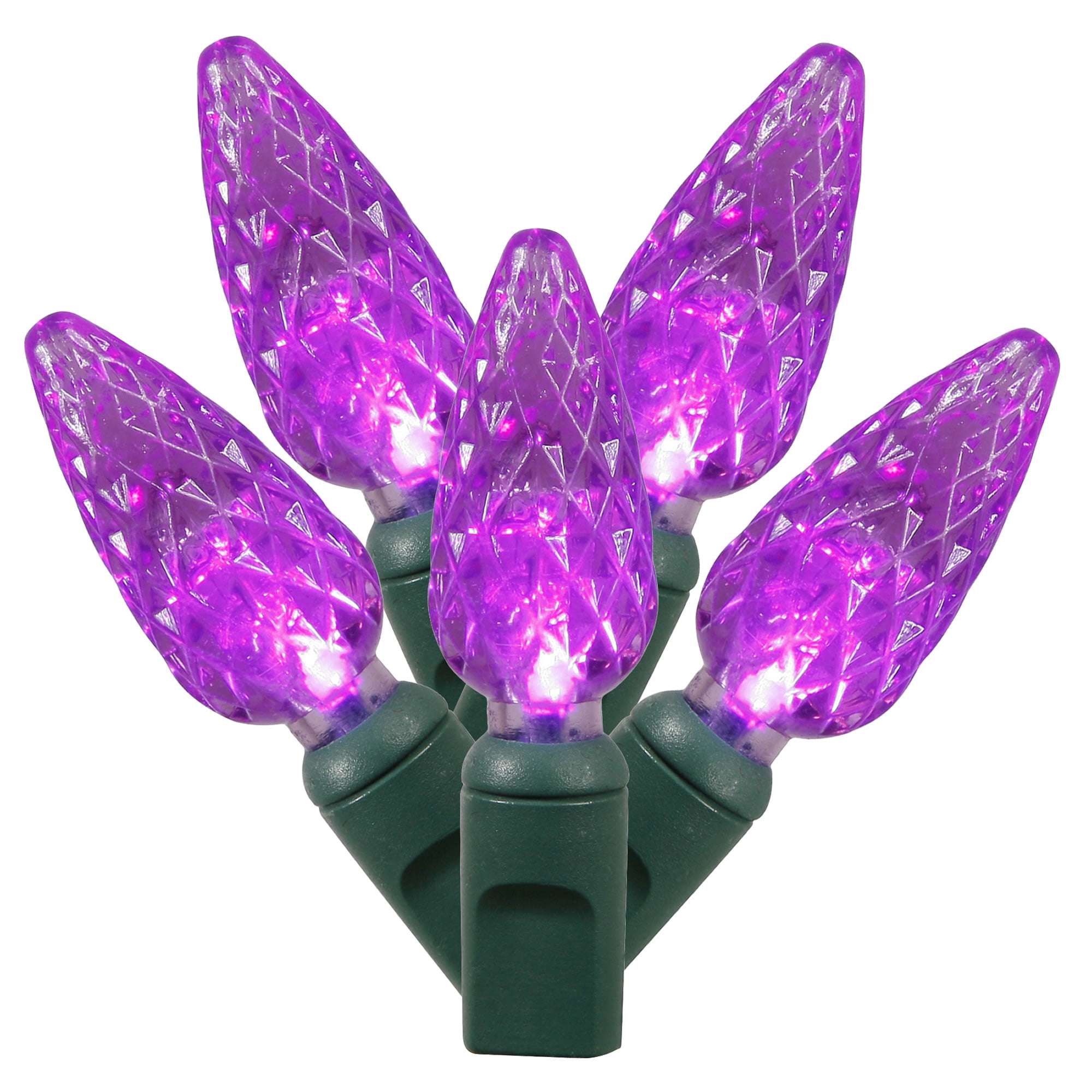 Vickerman 200 Purple C6 LED Light on Green Wire, 100' Christmas Single Mold Light Strand